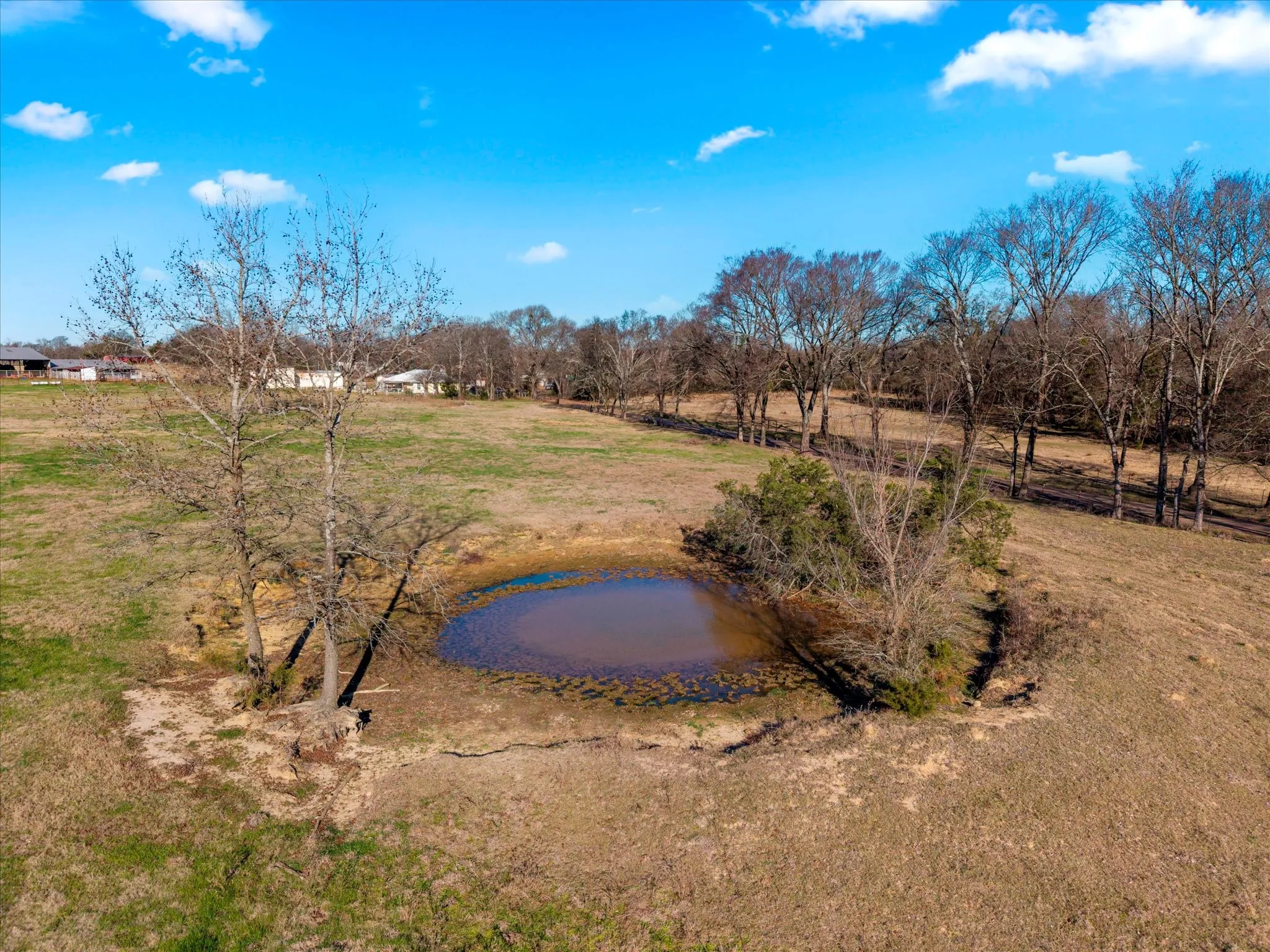 Unimproved Land For Sale in Titus County , TBD 4315, Cookville, Texas 75571, 0, 0, Garage spaces, 0 Sqft, built in 0, mls#21155755, Real Estate Agent in Cookville, Homes For Sale in Titus county, Homes For Sale in Cookville, Realtor in Cookville Texas, Real Estate Brokerage Independent Realty Texas, Luminita Cordes Realtor
