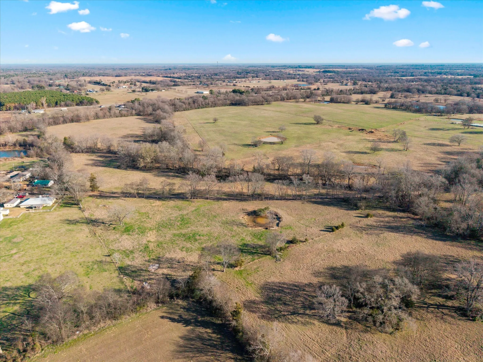 Unimproved Land For Sale in Titus County , TBD 4315, Cookville, Texas 75571, 0, 0, Garage spaces, 0 Sqft, built in 0, mls#21155755, Real Estate Agent in Cookville, Homes For Sale in Titus county, Homes For Sale in Cookville, Realtor in Cookville Texas, Real Estate Brokerage Independent Realty Texas, Luminita Cordes Realtor