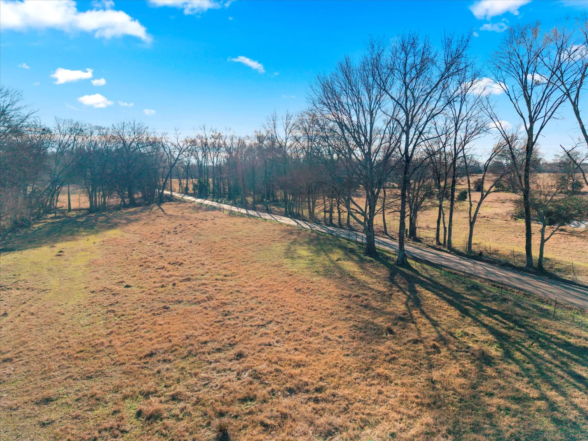 Unimproved Land For Sale in Titus County , TBD 4315, Cookville, Texas 75571, 0, 0, Garage spaces, 0 Sqft, built in 0, mls#21155755, Real Estate Agent in Cookville, Homes For Sale in Titus county, Homes For Sale in Cookville, Realtor in Cookville Texas, Real Estate Brokerage Independent Realty Texas, Luminita Cordes Realtor