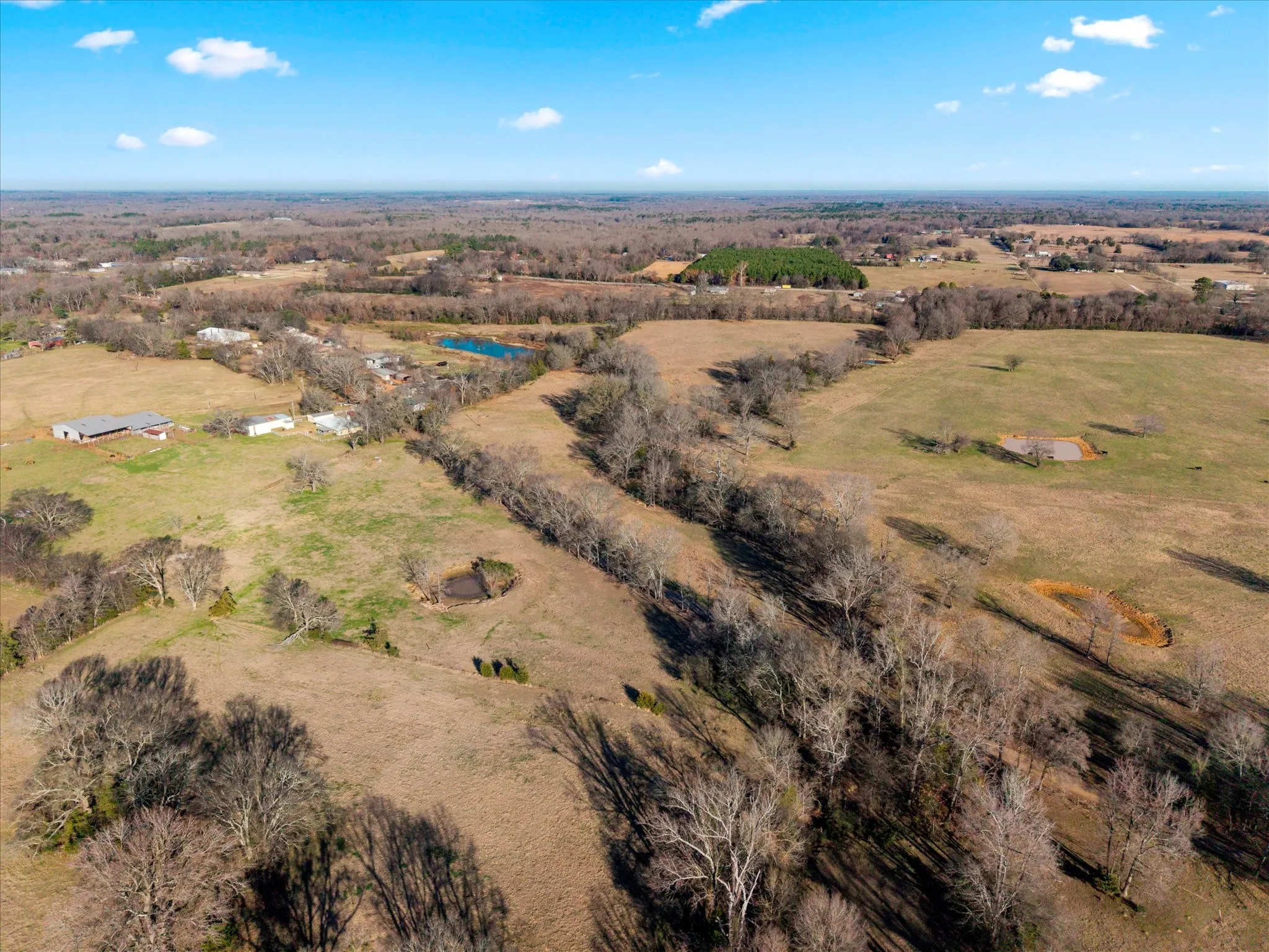 Unimproved Land For Sale in Titus County , TBD 4315, Cookville, Texas 75571, 0, 0, Garage spaces, 0 Sqft, built in 0, mls#21155755, Real Estate Agent in Cookville, Homes For Sale in Titus county, Homes For Sale in Cookville, Realtor in Cookville Texas, Real Estate Brokerage Independent Realty Texas, Luminita Cordes Realtor