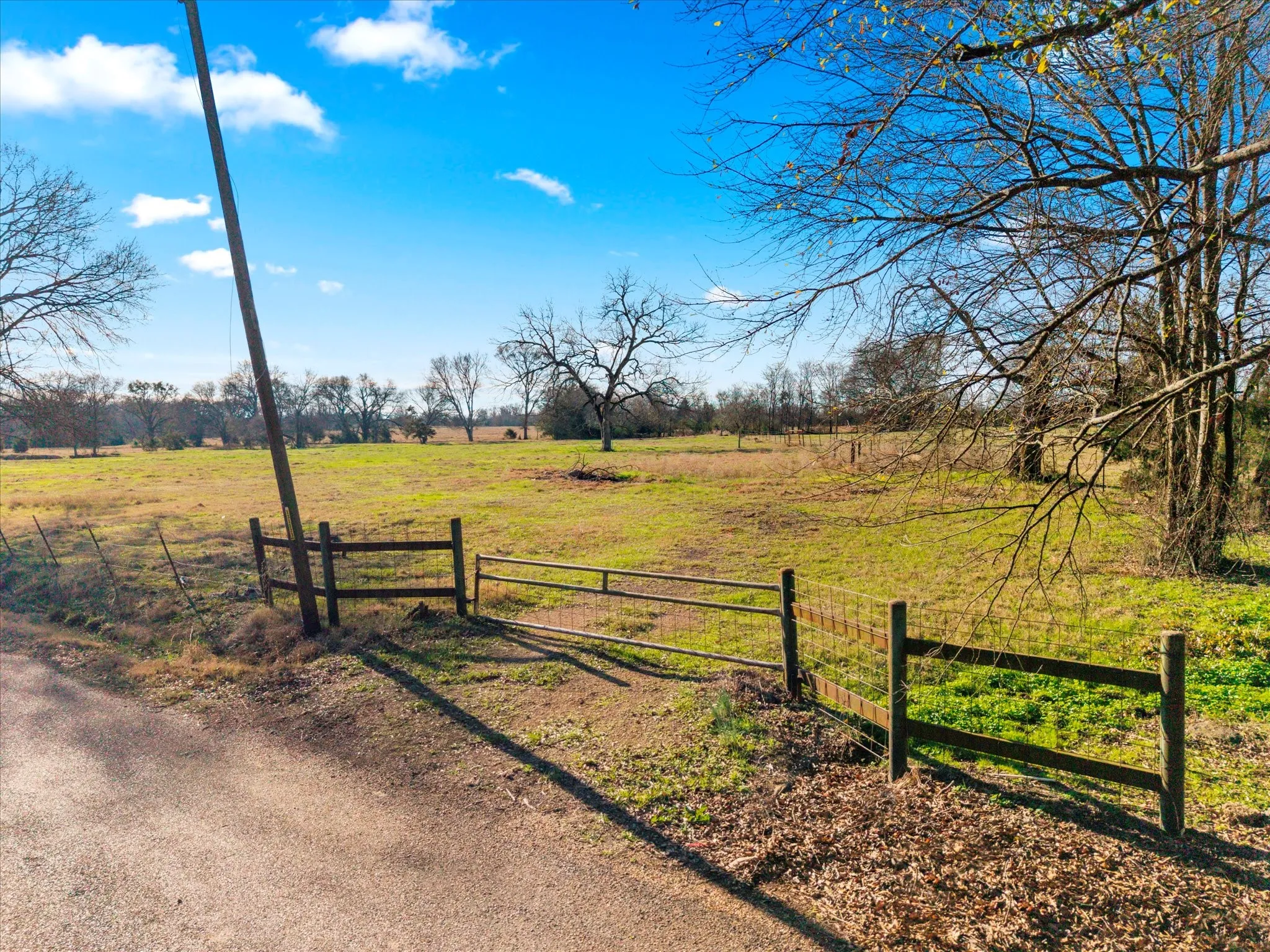 Unimproved Land For Sale in Titus County , TBD 4315, Cookville, Texas 75571, 0, 0, Garage spaces, 0 Sqft, built in 0, mls#21155755, Real Estate Agent in Cookville, Homes For Sale in Titus county, Homes For Sale in Cookville, Realtor in Cookville Texas, Real Estate Brokerage Independent Realty Texas, Luminita Cordes Realtor