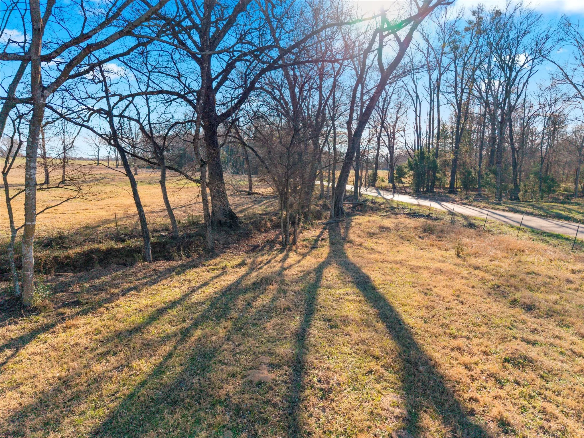 Unimproved Land For Sale in Titus County , TBD 4315, Cookville, Texas 75571, 0, 0, Garage spaces, 0 Sqft, built in 0, mls#21155755, Real Estate Agent in Cookville, Homes For Sale in Titus county, Homes For Sale in Cookville, Realtor in Cookville Texas, Real Estate Brokerage Independent Realty Texas, Luminita Cordes Realtor