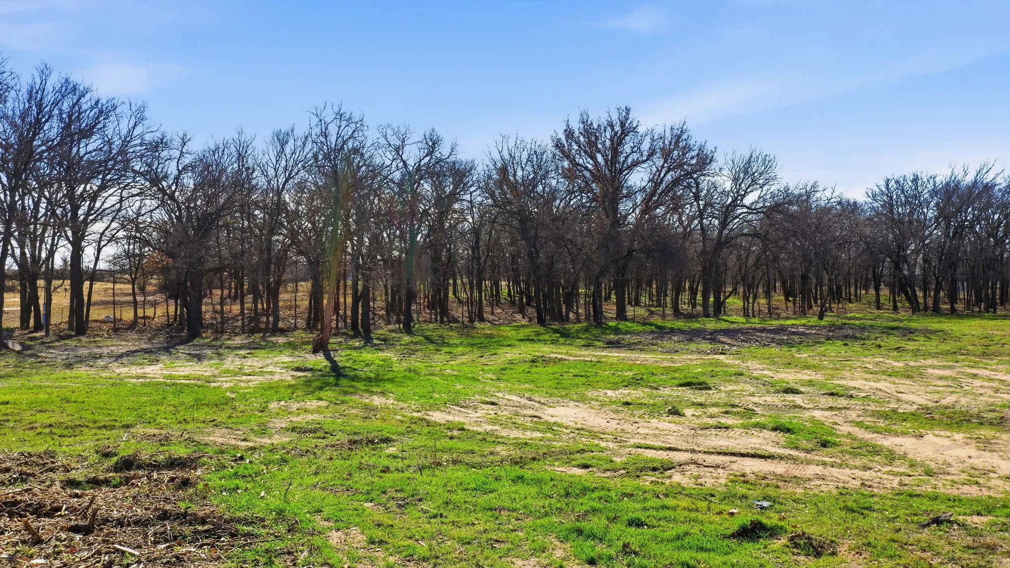 Unimproved Land For Sale in Parker County , 740 FM 1189, Millsap, Texas 76066, 0, 0, Garage spaces, 0 Sqft, built in 0, mls#21154512, Real Estate Agent in Millsap, Homes For Sale in Parker county, Homes For Sale in Millsap, Realtor in Millsap Texas, Real Estate Brokerage Independent Realty Texas, Luminita Cordes Realtor