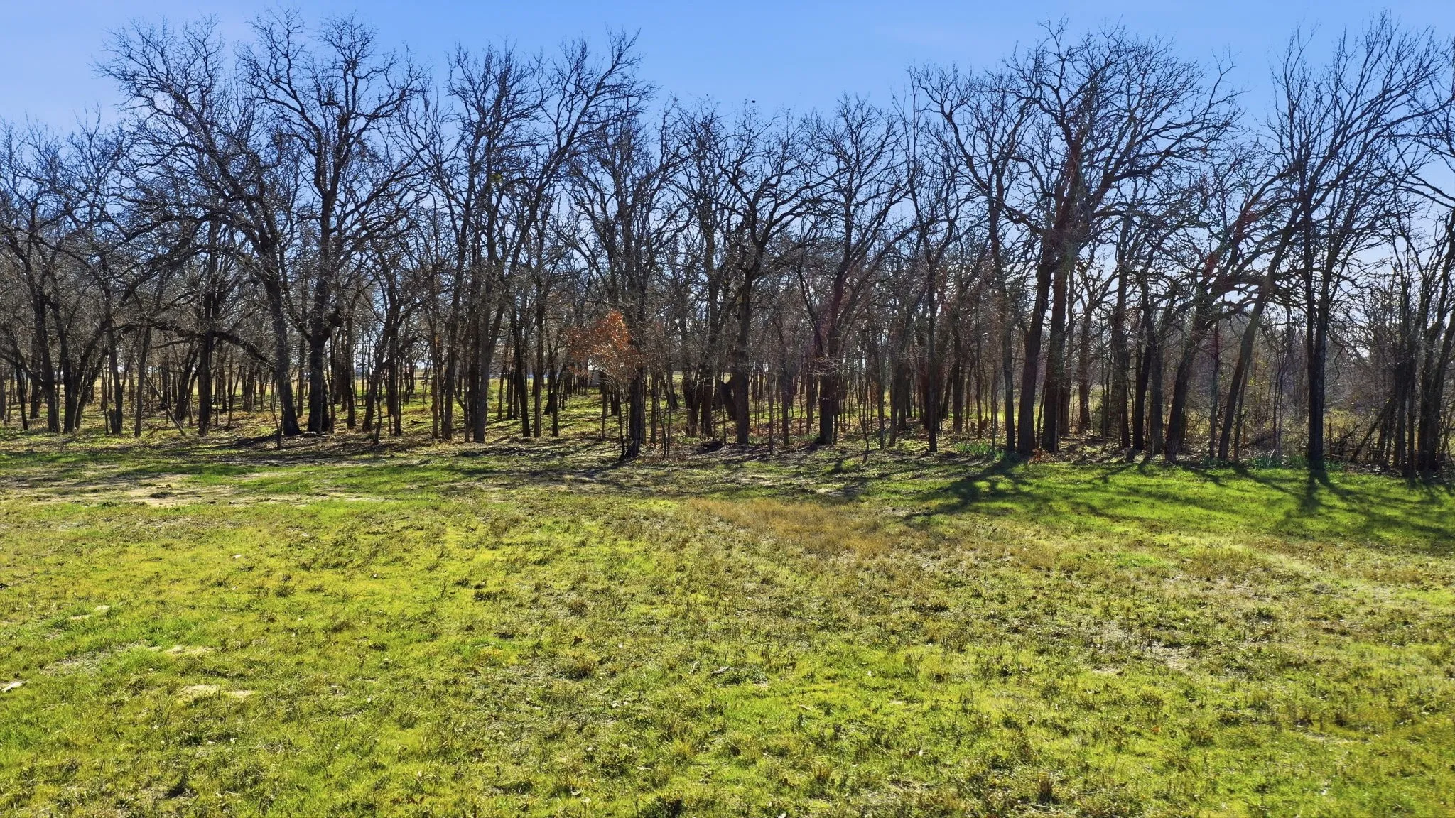 Unimproved Land For Sale in Parker County , 740 FM 1189, Millsap, Texas 76066, 0, 0, Garage spaces, 0 Sqft, built in 0, mls#21154512, Real Estate Agent in Millsap, Homes For Sale in Parker county, Homes For Sale in Millsap, Realtor in Millsap Texas, Real Estate Brokerage Independent Realty Texas, Luminita Cordes Realtor
