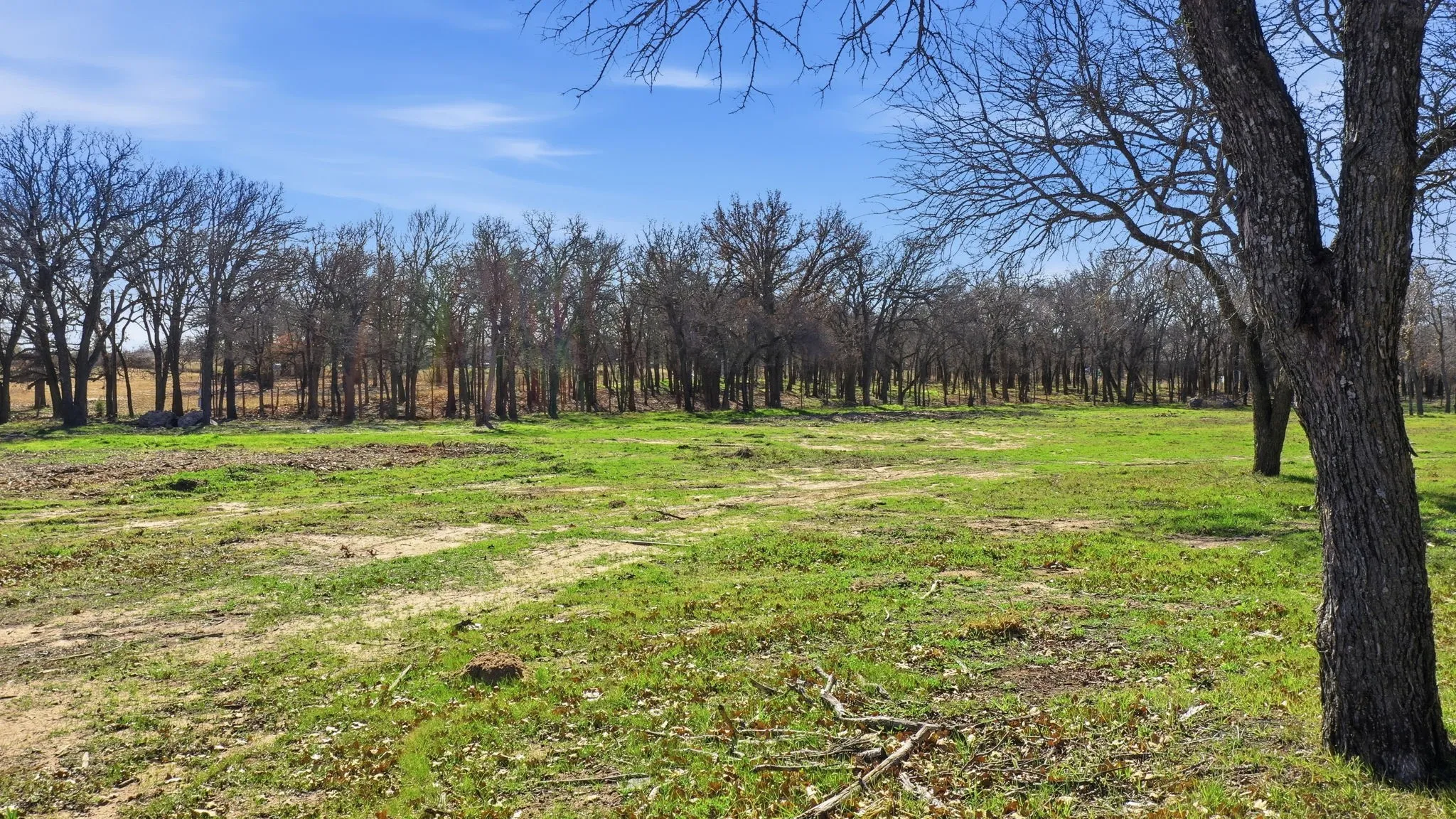 Unimproved Land For Sale in Parker County , 740 FM 1189, Millsap, Texas 76066, 0, 0, Garage spaces, 0 Sqft, built in 0, mls#21154512, Real Estate Agent in Millsap, Homes For Sale in Parker county, Homes For Sale in Millsap, Realtor in Millsap Texas, Real Estate Brokerage Independent Realty Texas, Luminita Cordes Realtor