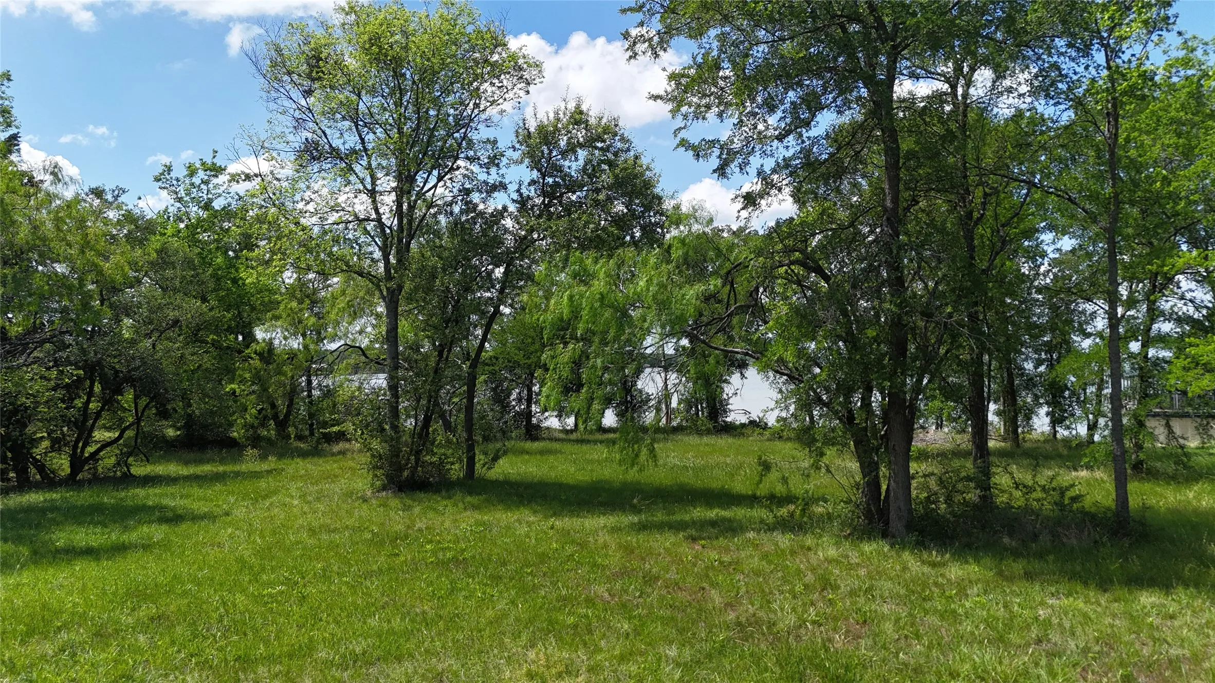 Unimproved Land For Sale in Navarro County , Lot 16 Opal Lane, Corsicana, Texas 75109, 0, 0, Garage spaces, 0 Sqft, built in 0, Price $159,990, mls#21156486, Real Estate Agent in Corsicana, Homes For Sale in Navarro county, Homes For Sale in Corsicana, Realtor in Corsicana Texas, Real Estate Brokerage Independent Realty Texas, Luminita Cordes Realtor