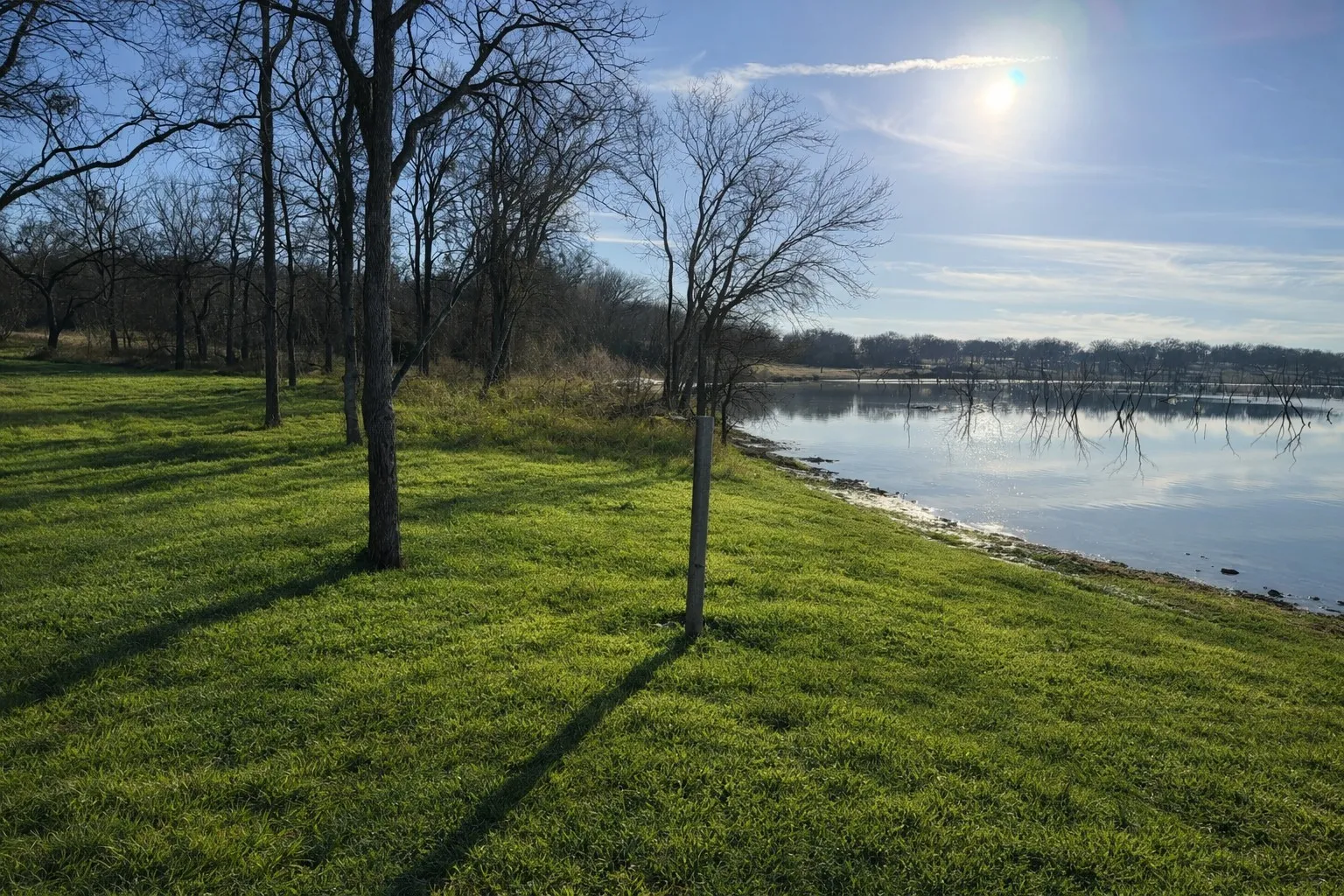 Shoreline at Dock
