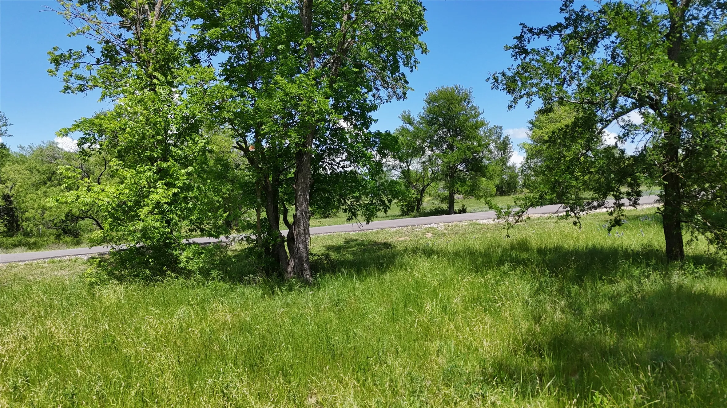 Unimproved Land For Sale in Navarro County , Lot 16 Opal Lane, Corsicana, Texas 75109, 0, 0, Garage spaces, 0 Sqft, built in 0, Price $159,990, mls#21156486, Real Estate Agent in Corsicana, Homes For Sale in Navarro county, Homes For Sale in Corsicana, Realtor in Corsicana Texas, Real Estate Brokerage Independent Realty Texas, Luminita Cordes Realtor