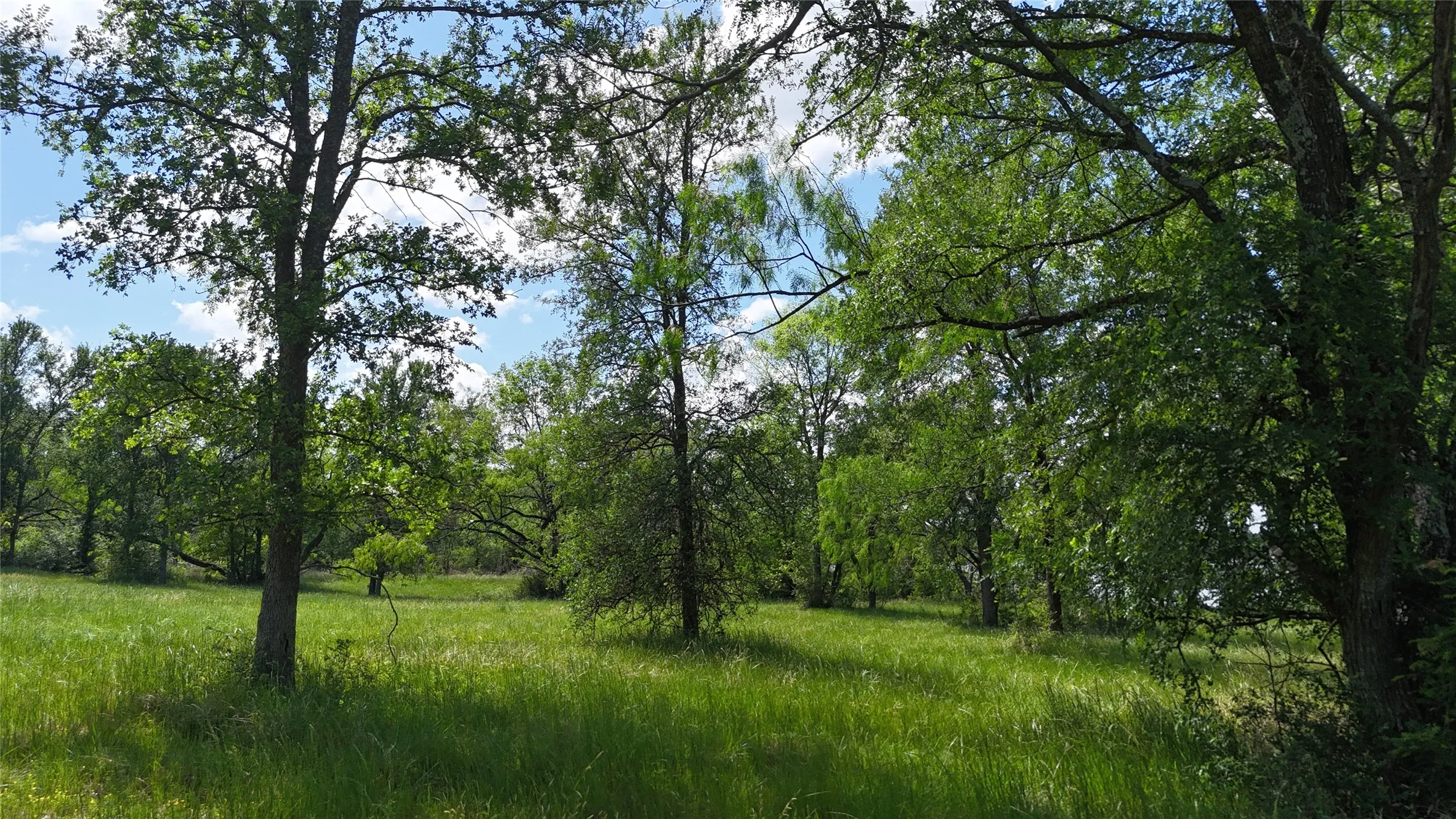 Unimproved Land For Sale in Navarro County , Lot 16 Opal Lane, Corsicana, Texas 75109, 0, 0, Garage spaces, 0 Sqft, built in 0, Price $159,990, mls#21156486, Real Estate Agent in Corsicana, Homes For Sale in Navarro county, Homes For Sale in Corsicana, Realtor in Corsicana Texas, Real Estate Brokerage Independent Realty Texas, Luminita Cordes Realtor
