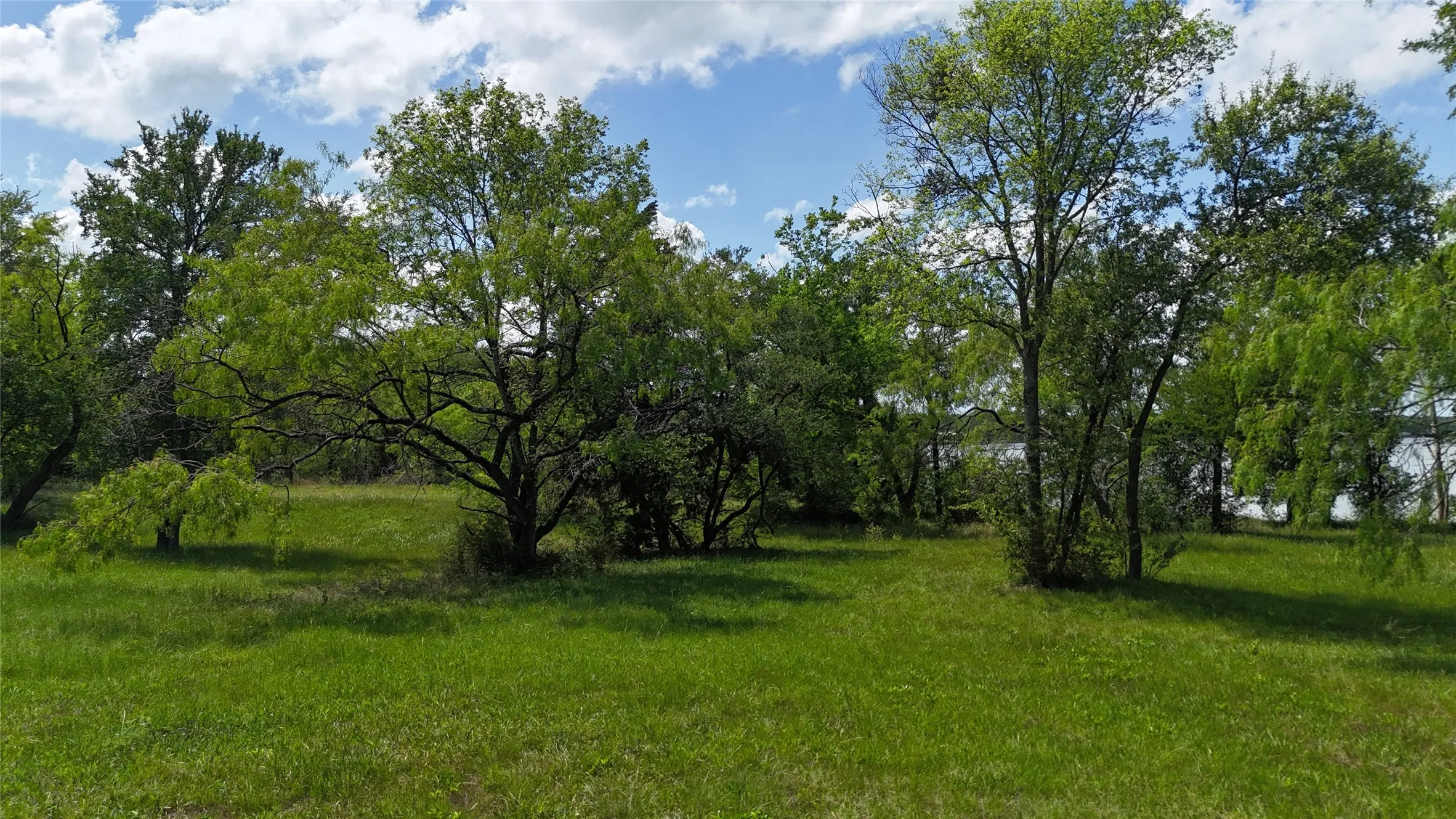 Unimproved Land For Sale in Navarro County , Lot 16 Opal Lane, Corsicana, Texas 75109, 0, 0, Garage spaces, 0 Sqft, built in 0, Price $159,990, mls#21156486, Real Estate Agent in Corsicana, Homes For Sale in Navarro county, Homes For Sale in Corsicana, Realtor in Corsicana Texas, Real Estate Brokerage Independent Realty Texas, Luminita Cordes Realtor
