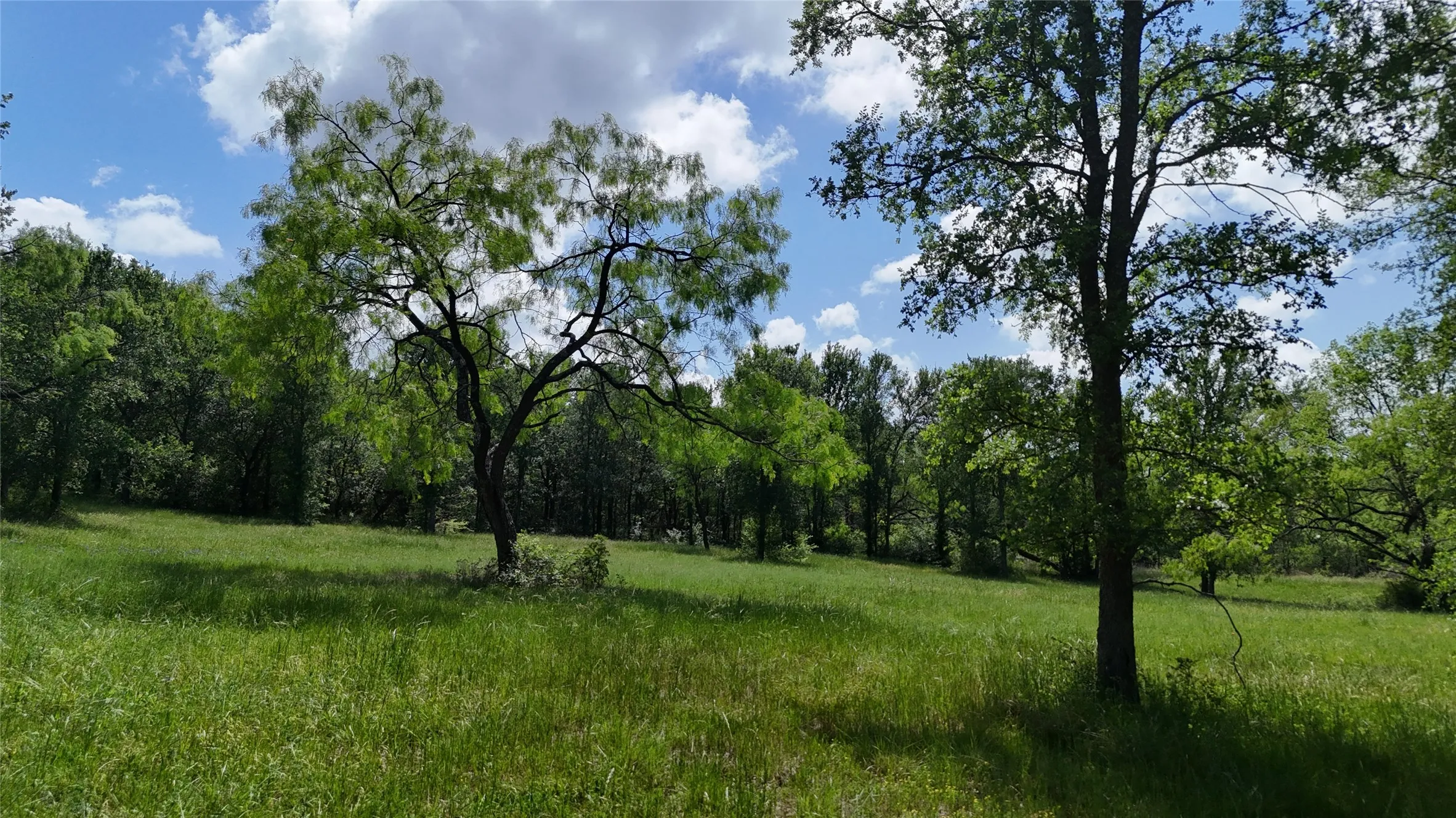 Unimproved Land For Sale in Navarro County , Lot 16 Opal Lane, Corsicana, Texas 75109, 0, 0, Garage spaces, 0 Sqft, built in 0, Price $159,990, mls#21156486, Real Estate Agent in Corsicana, Homes For Sale in Navarro county, Homes For Sale in Corsicana, Realtor in Corsicana Texas, Real Estate Brokerage Independent Realty Texas, Luminita Cordes Realtor