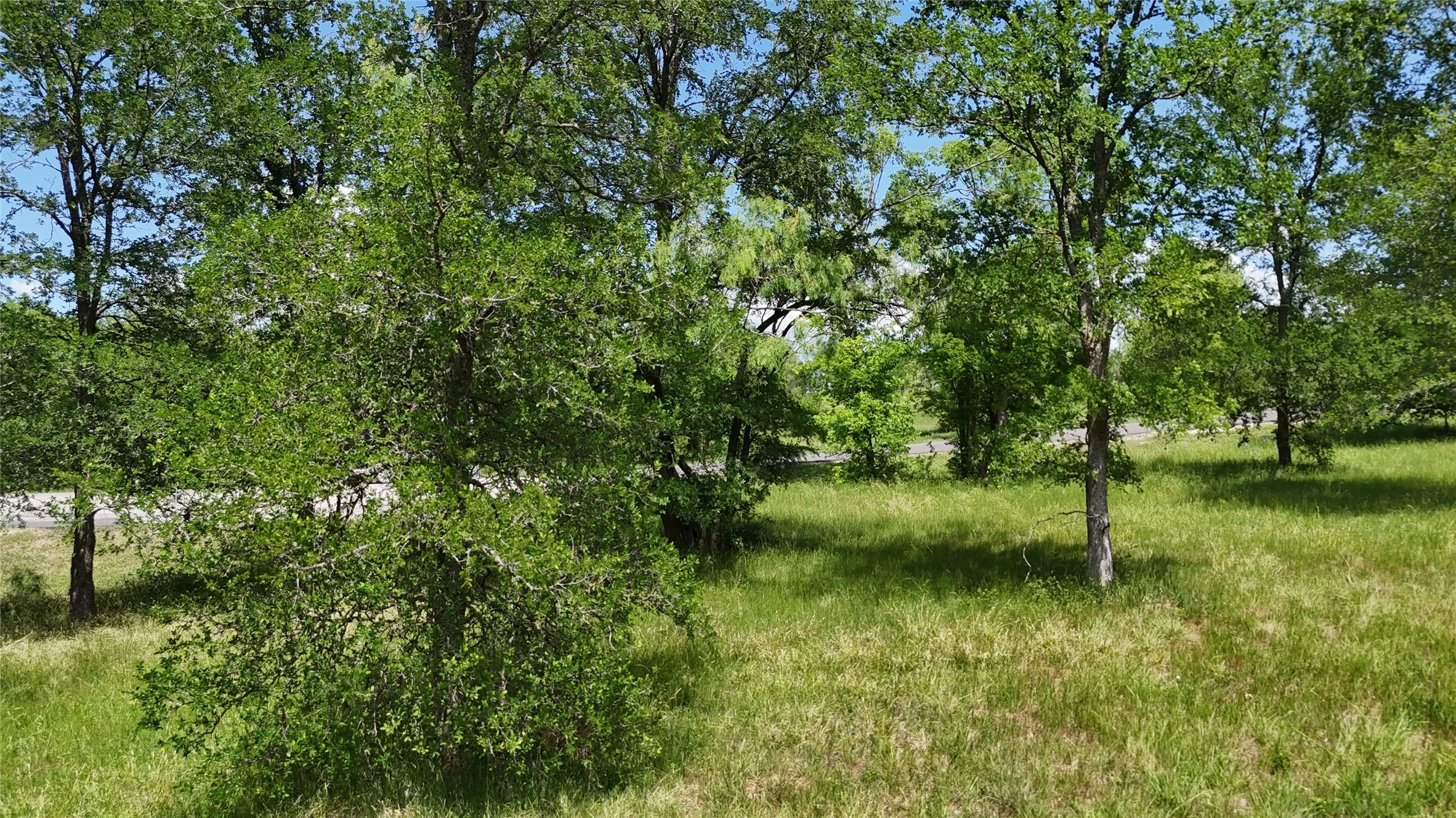 Unimproved Land For Sale in Navarro County , Lot 16 Opal Lane, Corsicana, Texas 75109, 0, 0, Garage spaces, 0 Sqft, built in 0, Price $159,990, mls#21156486, Real Estate Agent in Corsicana, Homes For Sale in Navarro county, Homes For Sale in Corsicana, Realtor in Corsicana Texas, Real Estate Brokerage Independent Realty Texas, Luminita Cordes Realtor