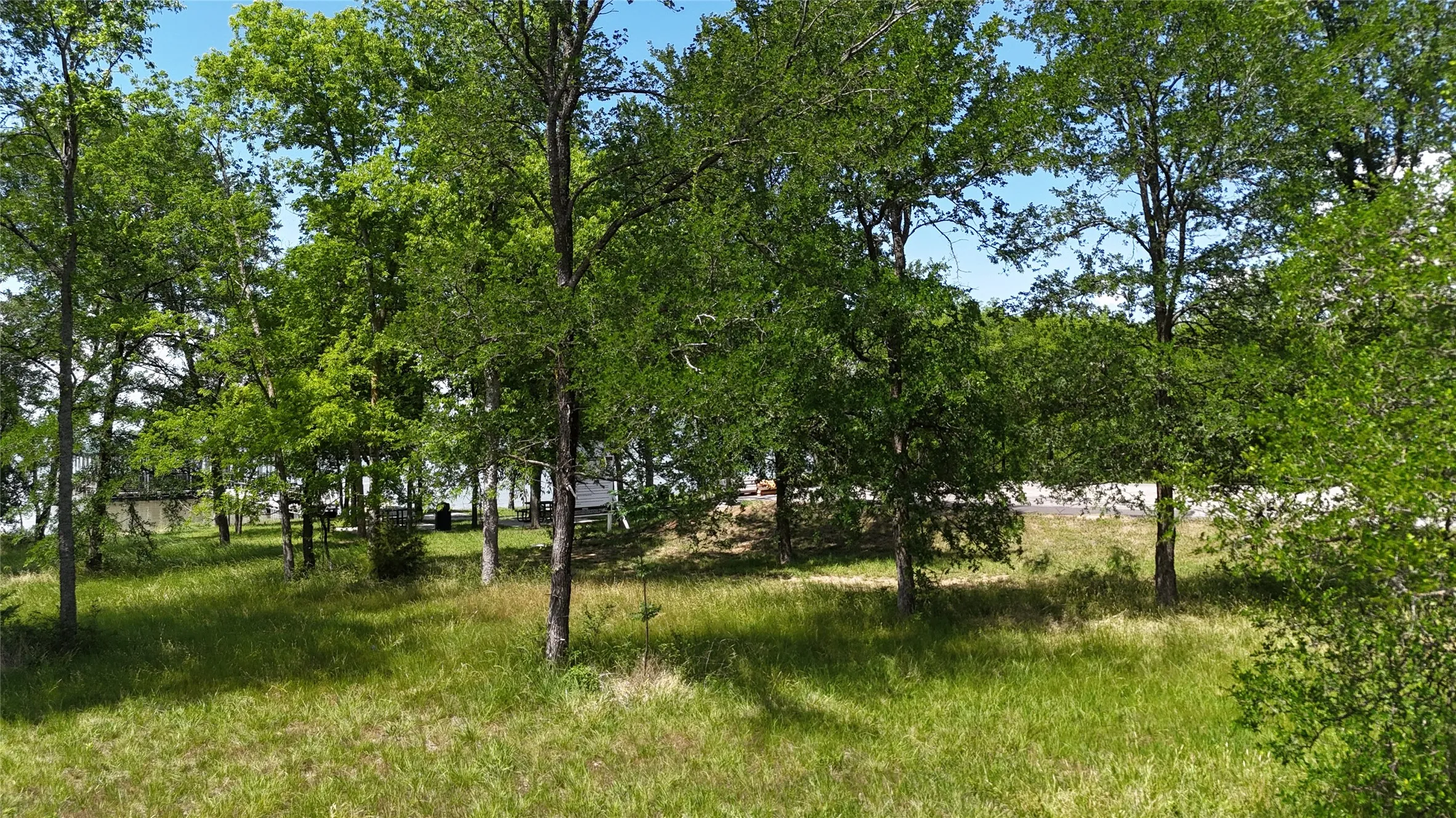 Unimproved Land For Sale in Navarro County , Lot 16 Opal Lane, Corsicana, Texas 75109, 0, 0, Garage spaces, 0 Sqft, built in 0, Price $159,990, mls#21156486, Real Estate Agent in Corsicana, Homes For Sale in Navarro county, Homes For Sale in Corsicana, Realtor in Corsicana Texas, Real Estate Brokerage Independent Realty Texas, Luminita Cordes Realtor