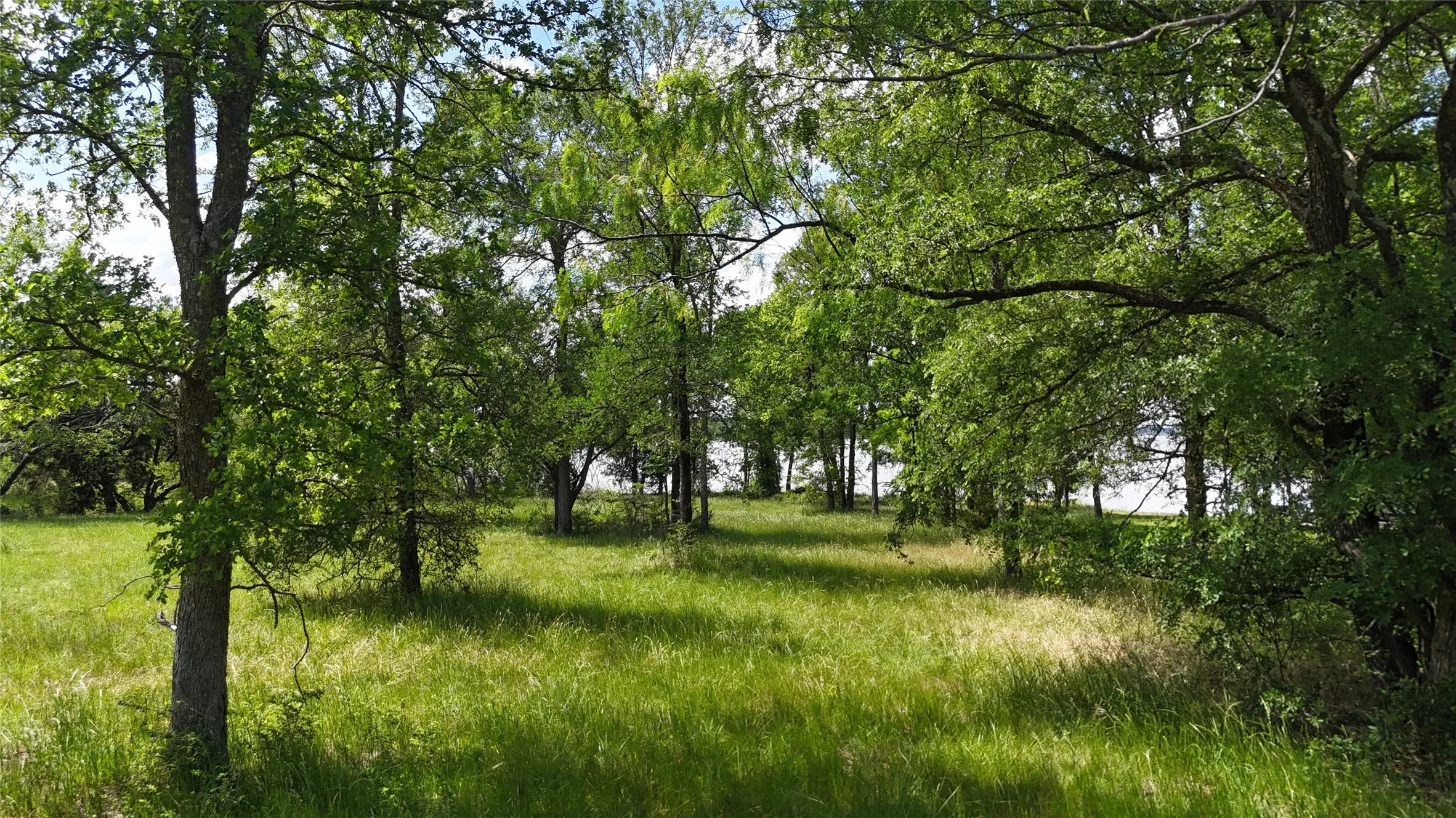 Unimproved Land For Sale in Navarro County , Lot 16 Opal Lane, Corsicana, Texas 75109, 0, 0, Garage spaces, 0 Sqft, built in 0, Price $159,990, mls#21156486, Real Estate Agent in Corsicana, Homes For Sale in Navarro county, Homes For Sale in Corsicana, Realtor in Corsicana Texas, Real Estate Brokerage Independent Realty Texas, Luminita Cordes Realtor