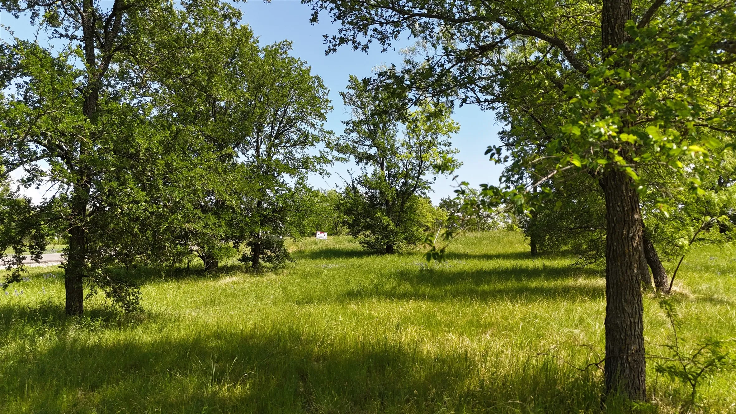 Unimproved Land For Sale in Navarro County , Lot 16 Opal Lane, Corsicana, Texas 75109, 0, 0, Garage spaces, 0 Sqft, built in 0, Price $159,990, mls#21156486, Real Estate Agent in Corsicana, Homes For Sale in Navarro county, Homes For Sale in Corsicana, Realtor in Corsicana Texas, Real Estate Brokerage Independent Realty Texas, Luminita Cordes Realtor