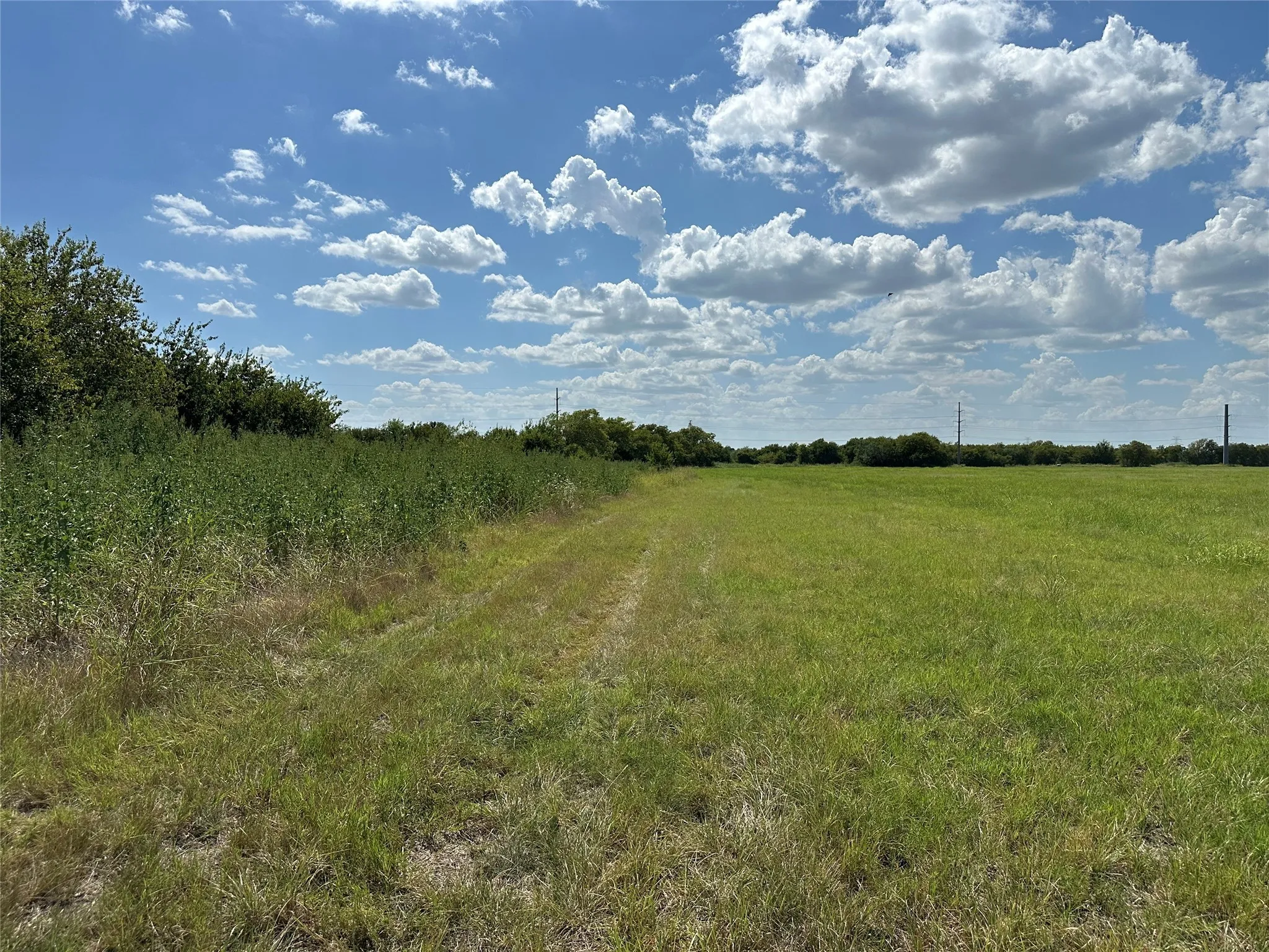 Unimproved Land For Sale in Johnson County , 1945 County Road 904Z, Cleburne, Texas 76031, 0, 0, Garage spaces, 0 Sqft, built in 0, mls#21158339, Real Estate Agent in Cleburne, Homes For Sale in Johnson county, Homes For Sale in Cleburne, Realtor in Cleburne Texas, Real Estate Brokerage Independent Realty Texas, Luminita Cordes Realtor