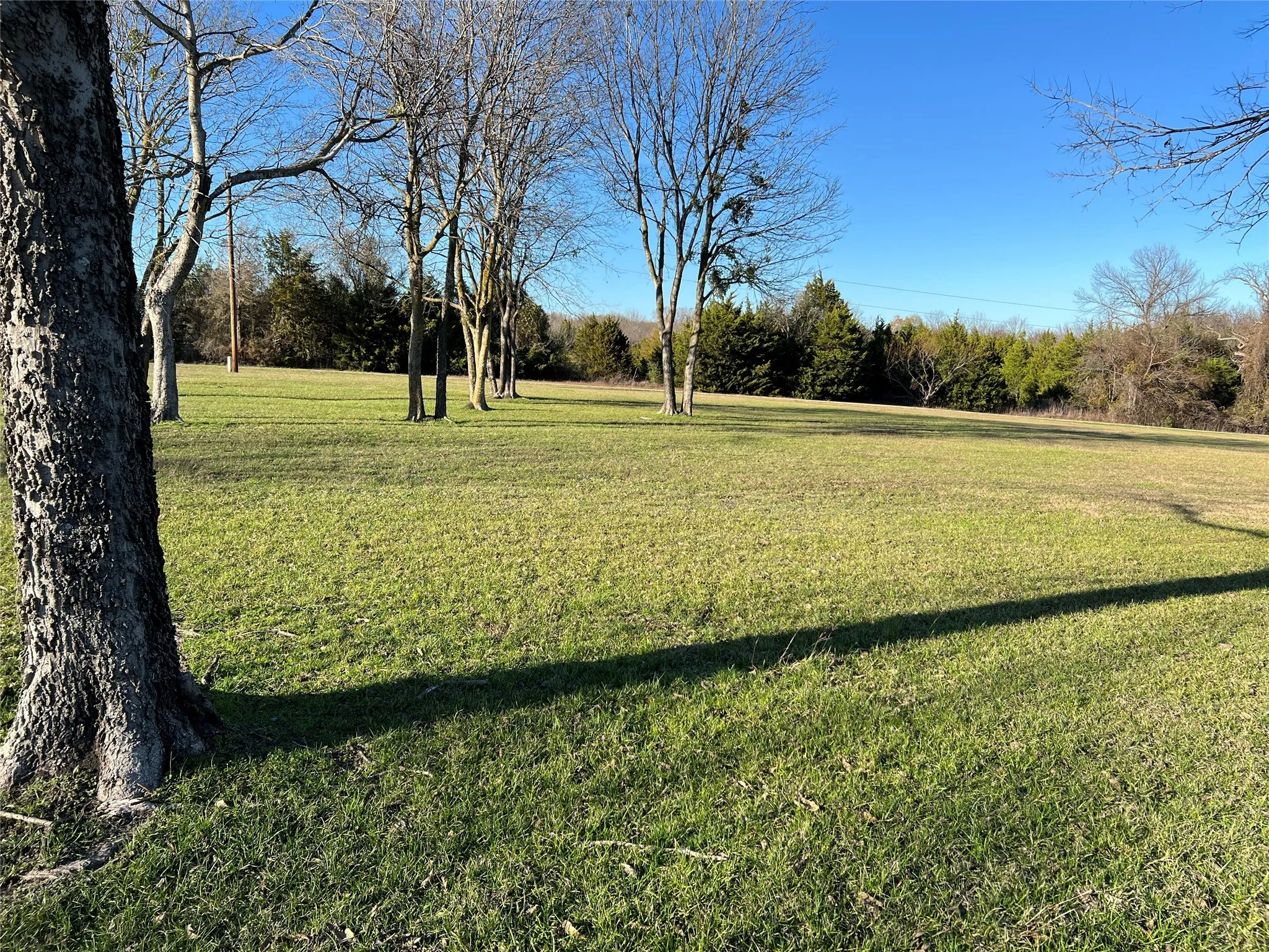 Unimproved Land For Sale in Navarro County , Lot 7 & 8 Francisco Bay Drive, Kerens, Texas 75144, 0, 0, Garage spaces, 0 Sqft, built in 0, Price $45,000, mls#21155600, Real Estate Agent in Kerens, Homes For Sale in Navarro county, Homes For Sale in Kerens, Realtor in Kerens Texas, Real Estate Brokerage Independent Realty Texas, Luminita Cordes Realtor