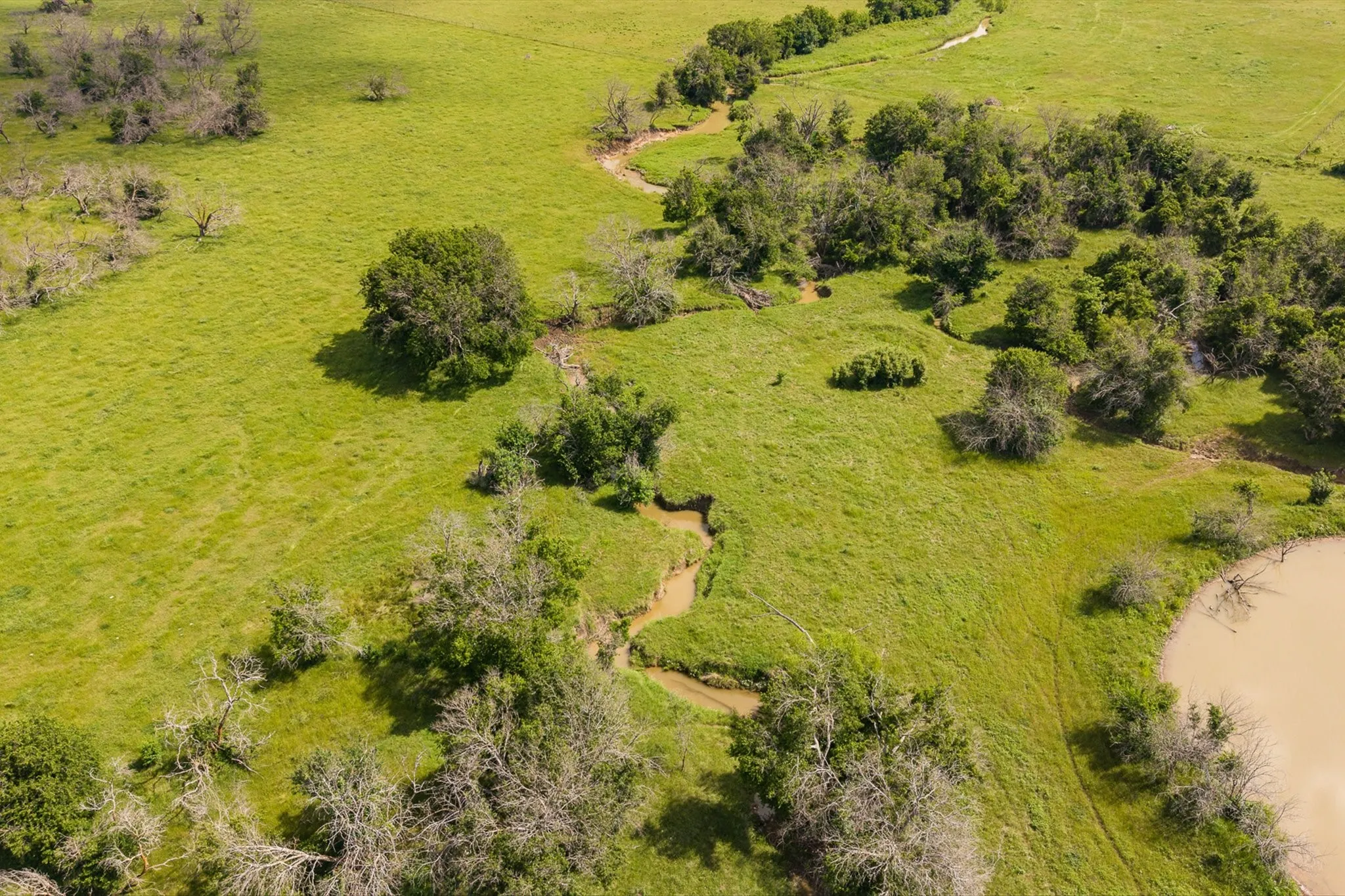 Improved Land For Sale in Johnson County , 10517 County Road 418, Grandview, Texas 76050, 0, 0, Garage spaces, 0 Sqft, built in 0, mls#21157823, Real Estate Agent in Grandview, Homes For Sale in Johnson county, Homes For Sale in Grandview, Realtor in Grandview Texas, Real Estate Brokerage Independent Realty Texas, Luminita Cordes Realtor