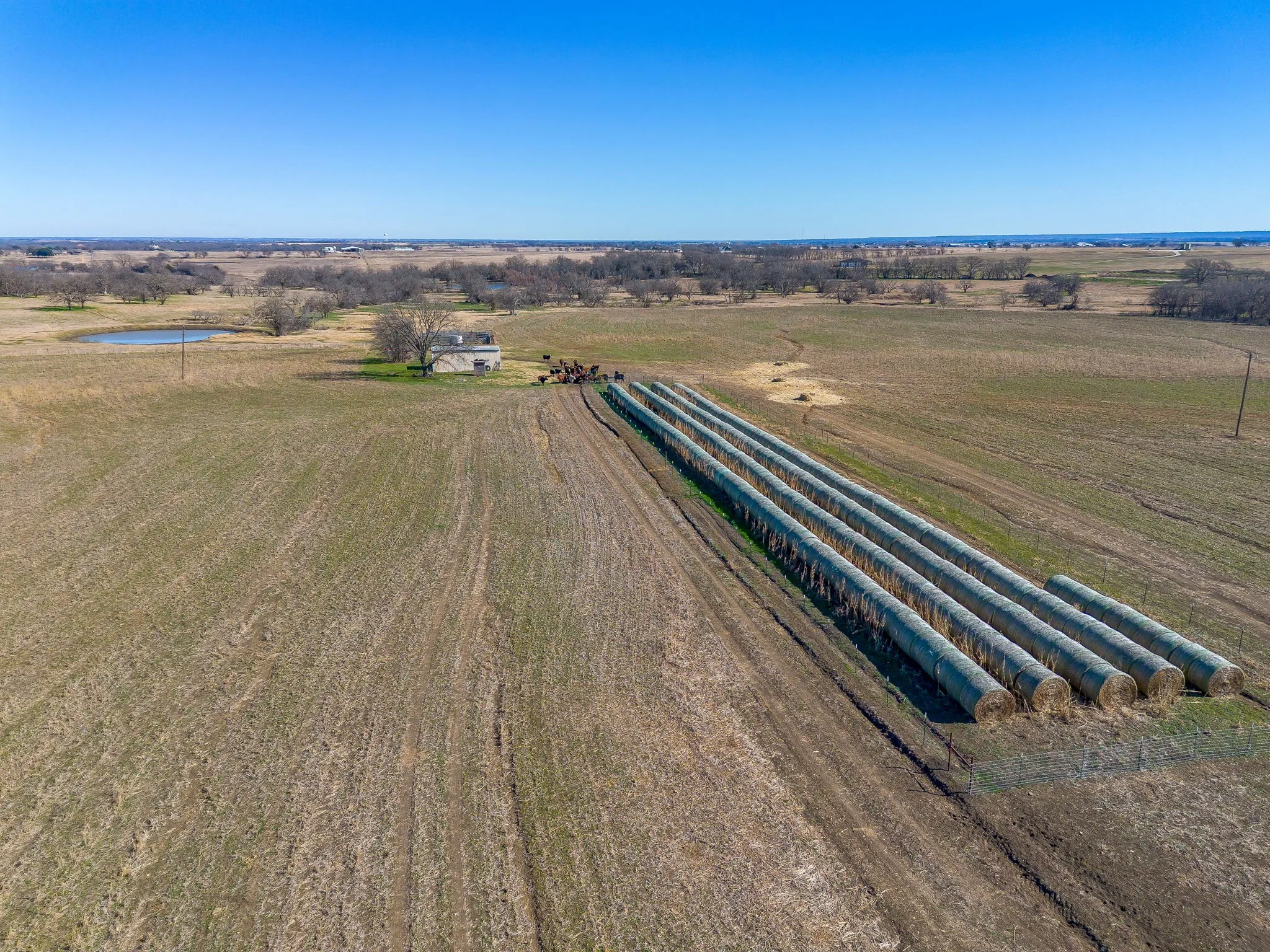 Improved Land For Sale in Johnson County , 10517 County Road 418, Grandview, Texas 76050, 0, 0, Garage spaces, 0 Sqft, built in 0, mls#21157823, Real Estate Agent in Grandview, Homes For Sale in Johnson county, Homes For Sale in Grandview, Realtor in Grandview Texas, Real Estate Brokerage Independent Realty Texas, Luminita Cordes Realtor