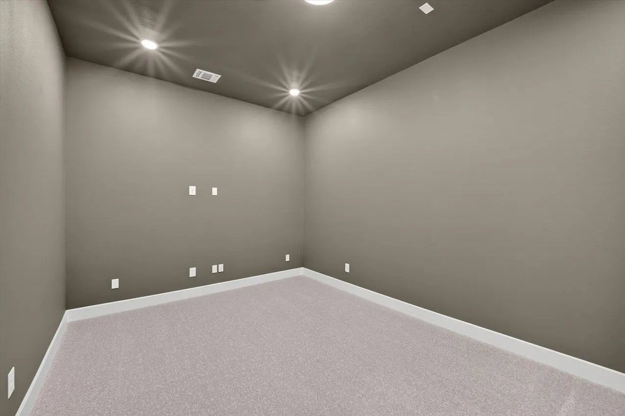 Entertainment Room
