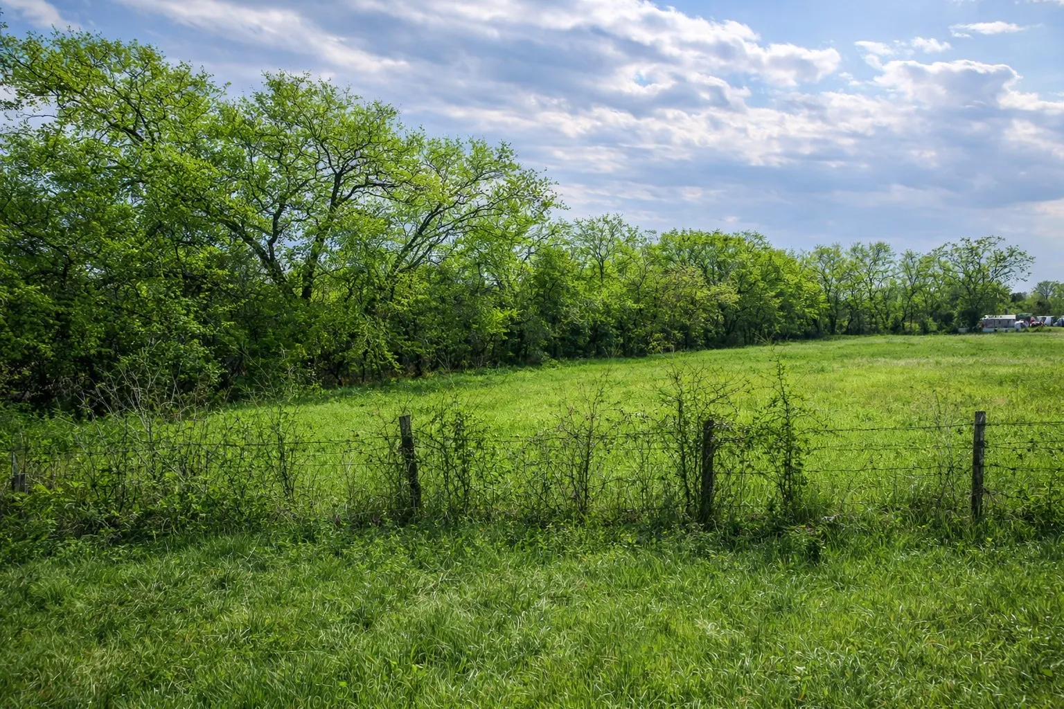 Unimproved Land For Sale in Hunt County , TBD Fir Street, Celeste, Texas 75423, 0, 0, Garage spaces, 0 Sqft, built in 0, Price $29,000, mls#21154562, Real Estate Agent in Celeste, Homes For Sale in Hunt county, Homes For Sale in Celeste, Realtor in Celeste Texas, Real Estate Brokerage Independent Realty Texas, Luminita Cordes Realtor