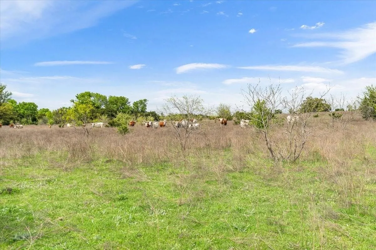 Unimproved Land For Sale in Mc Lennan County , TBD 252 Acres Dan Morgan Road, China Spring, Texas 76633, 0, 0, Garage spaces, 0 Sqft, built in 0, Price $2,457,000, mls#21156162, Real Estate Agent in China Spring, Homes For Sale in Mc Lennan county, Homes For Sale in China Spring, Realtor in China Spring Texas, Real Estate Brokerage Independent Realty Texas, Luminita Cordes Realtor
