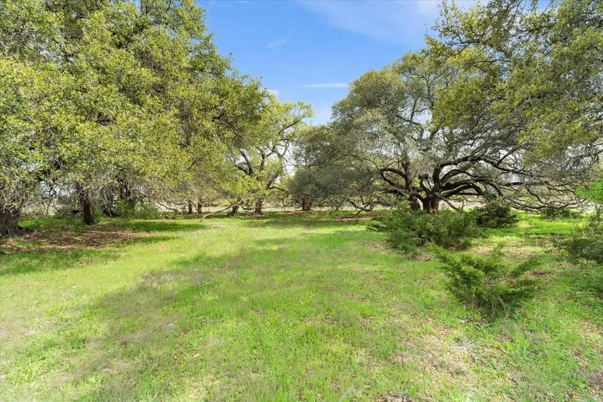 Unimproved Land For Sale in Mc Lennan County , TBD 252 Acres Dan Morgan Road, China Spring, Texas 76633, 0, 0, Garage spaces, 0 Sqft, built in 0, Price $2,457,000, mls#21156162, Real Estate Agent in China Spring, Homes For Sale in Mc Lennan county, Homes For Sale in China Spring, Realtor in China Spring Texas, Real Estate Brokerage Independent Realty Texas, Luminita Cordes Realtor