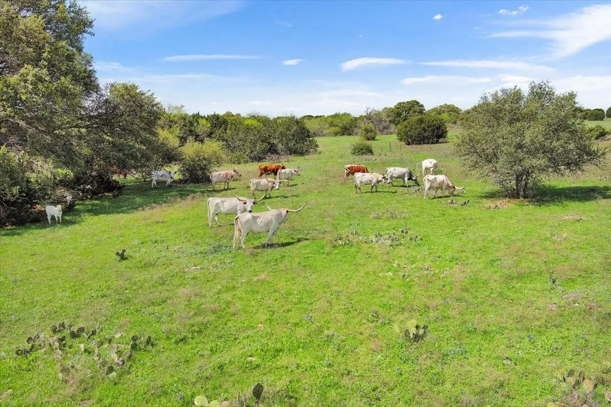Unimproved Land For Sale in Mc Lennan County , TBD 252 Acres Dan Morgan Road, China Spring, Texas 76633, 0, 0, Garage spaces, 0 Sqft, built in 0, Price $2,457,000, mls#21156162, Real Estate Agent in China Spring, Homes For Sale in Mc Lennan county, Homes For Sale in China Spring, Realtor in China Spring Texas, Real Estate Brokerage Independent Realty Texas, Luminita Cordes Realtor
