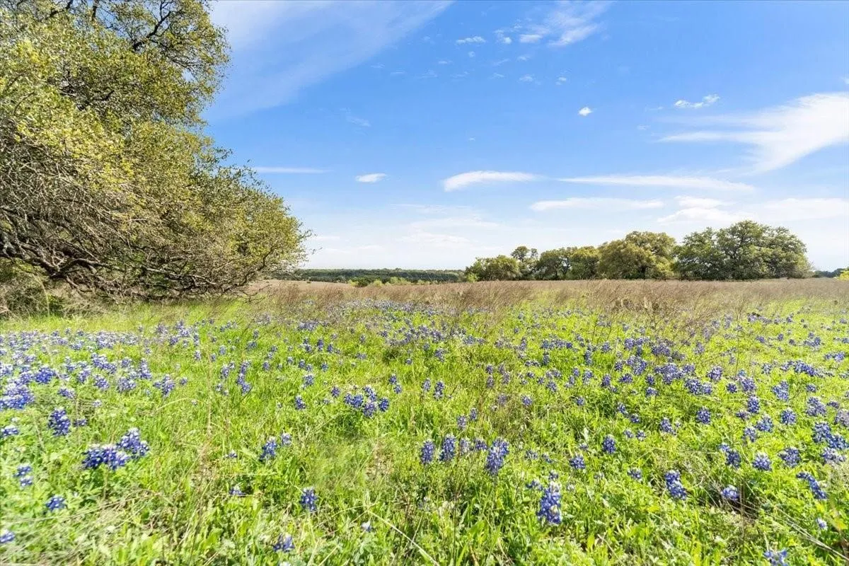 Unimproved Land For Sale in Mc Lennan County , TBD 252 Acres Dan Morgan Road, China Spring, Texas 76633, 0, 0, Garage spaces, 0 Sqft, built in 0, Price $2,457,000, mls#21156162, Real Estate Agent in China Spring, Homes For Sale in Mc Lennan county, Homes For Sale in China Spring, Realtor in China Spring Texas, Real Estate Brokerage Independent Realty Texas, Luminita Cordes Realtor