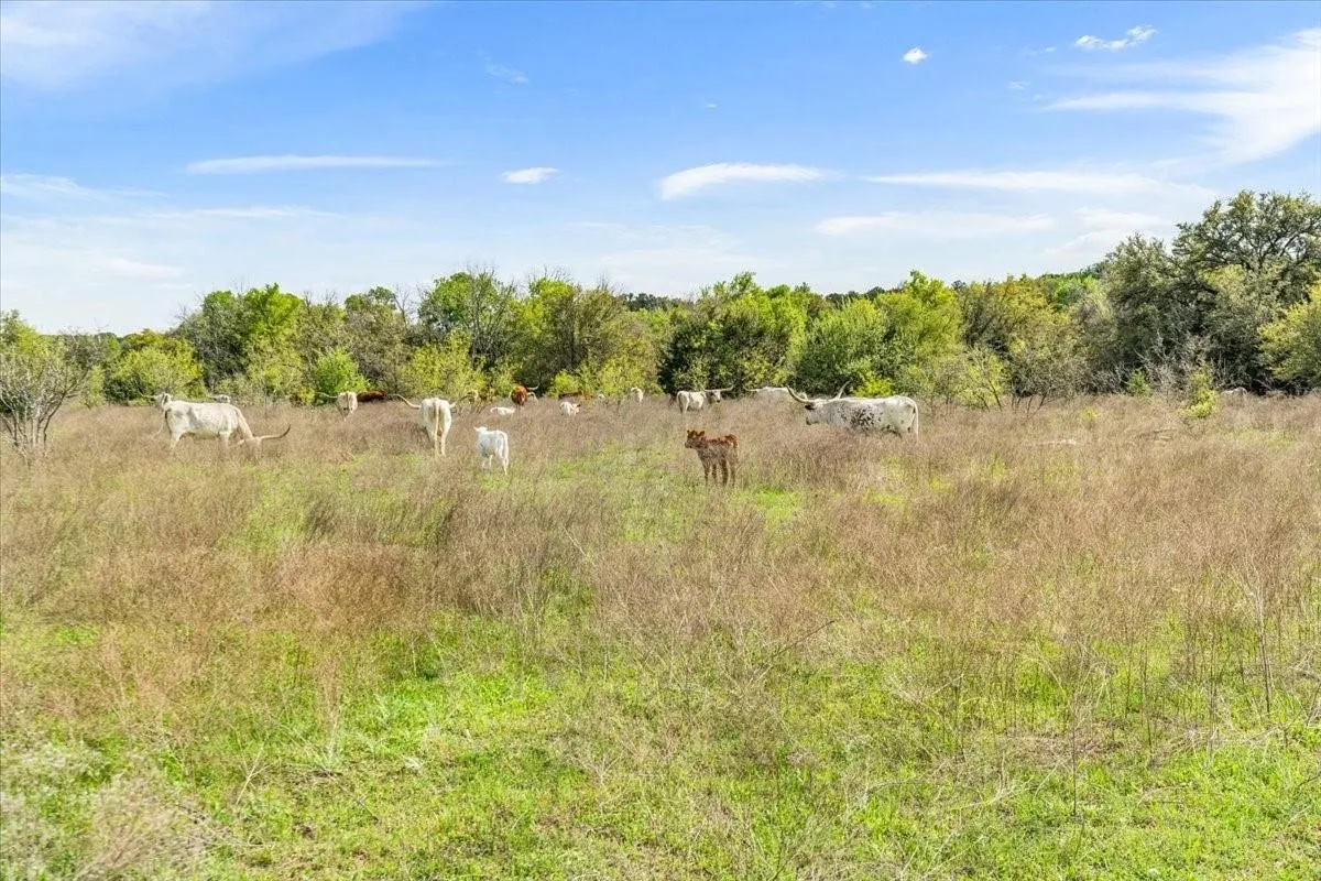 Unimproved Land For Sale in Mc Lennan County , TBD 252 Acres Dan Morgan Road, China Spring, Texas 76633, 0, 0, Garage spaces, 0 Sqft, built in 0, Price $2,457,000, mls#21156162, Real Estate Agent in China Spring, Homes For Sale in Mc Lennan county, Homes For Sale in China Spring, Realtor in China Spring Texas, Real Estate Brokerage Independent Realty Texas, Luminita Cordes Realtor