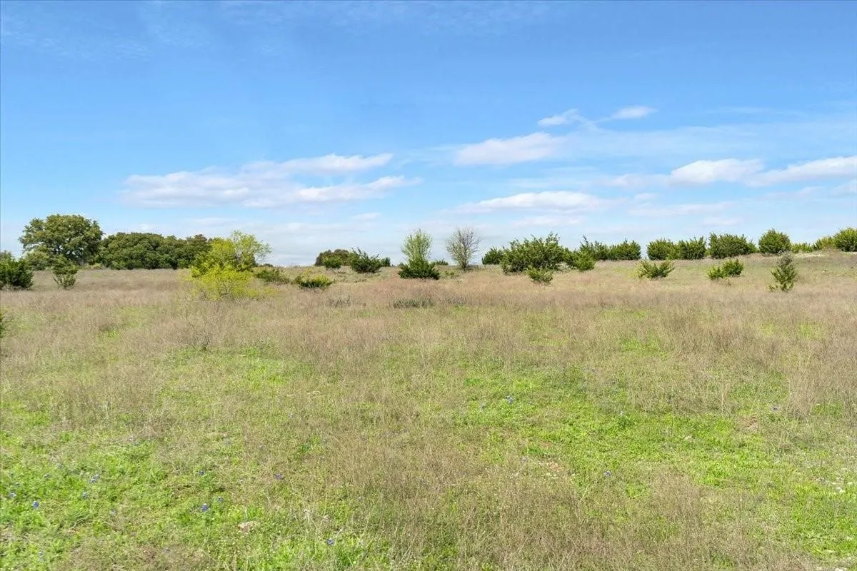 Unimproved Land For Sale in Mc Lennan County , TBD 252 Acres Dan Morgan Road, China Spring, Texas 76633, 0, 0, Garage spaces, 0 Sqft, built in 0, Price $2,457,000, mls#21156162, Real Estate Agent in China Spring, Homes For Sale in Mc Lennan county, Homes For Sale in China Spring, Realtor in China Spring Texas, Real Estate Brokerage Independent Realty Texas, Luminita Cordes Realtor
