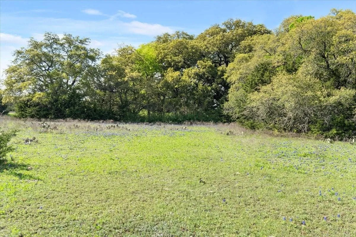 Unimproved Land For Sale in Mc Lennan County , TBD 252 Acres Dan Morgan Road, China Spring, Texas 76633, 0, 0, Garage spaces, 0 Sqft, built in 0, Price $2,457,000, mls#21156162, Real Estate Agent in China Spring, Homes For Sale in Mc Lennan county, Homes For Sale in China Spring, Realtor in China Spring Texas, Real Estate Brokerage Independent Realty Texas, Luminita Cordes Realtor
