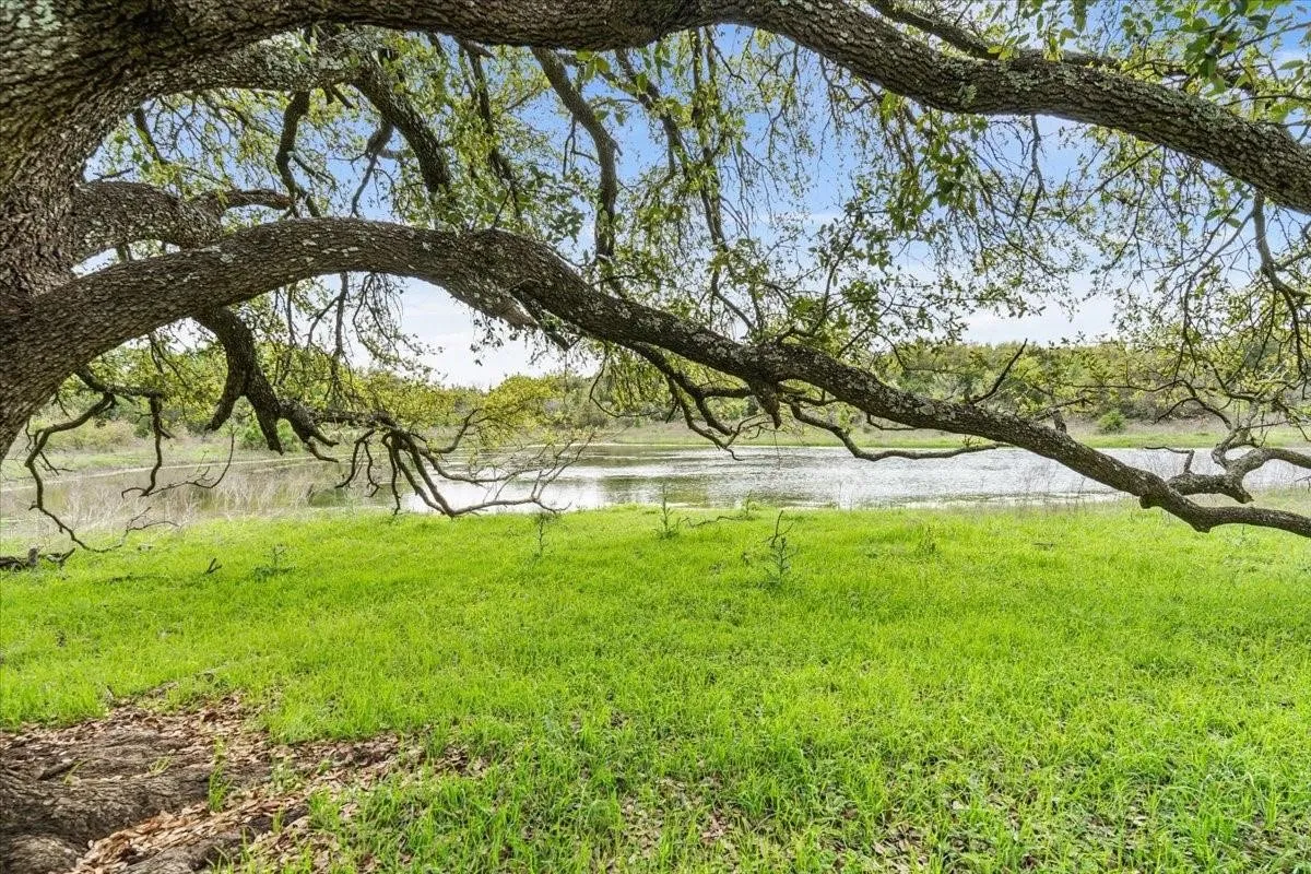 Unimproved Land For Sale in Mc Lennan County , TBD 252 Acres Dan Morgan Road, China Spring, Texas 76633, 0, 0, Garage spaces, 0 Sqft, built in 0, Price $2,457,000, mls#21156162, Real Estate Agent in China Spring, Homes For Sale in Mc Lennan county, Homes For Sale in China Spring, Realtor in China Spring Texas, Real Estate Brokerage Independent Realty Texas, Luminita Cordes Realtor