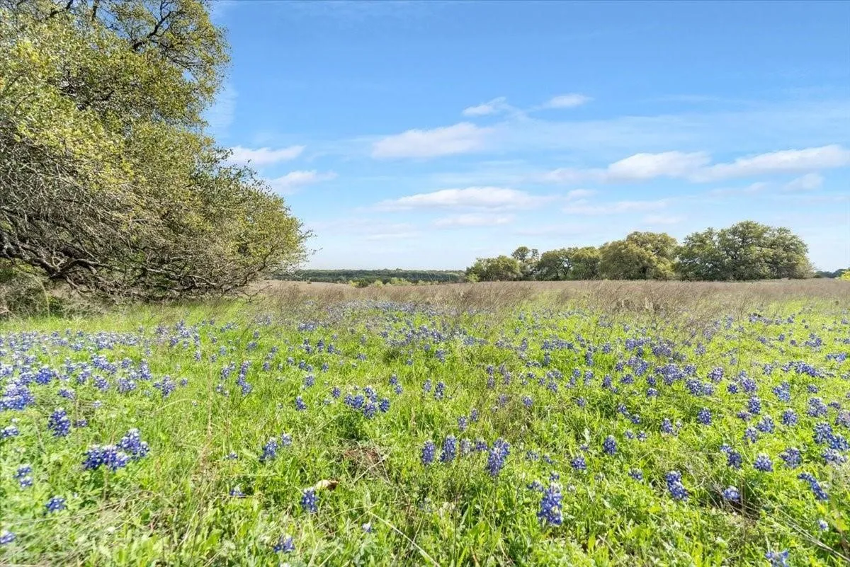 Unimproved Land For Sale in Mc Lennan County , TBD 252 Acres Dan Morgan Road, China Spring, Texas 76633, 0, 0, Garage spaces, 0 Sqft, built in 0, Price $2,457,000, mls#21156162, Real Estate Agent in China Spring, Homes For Sale in Mc Lennan county, Homes For Sale in China Spring, Realtor in China Spring Texas, Real Estate Brokerage Independent Realty Texas, Luminita Cordes Realtor