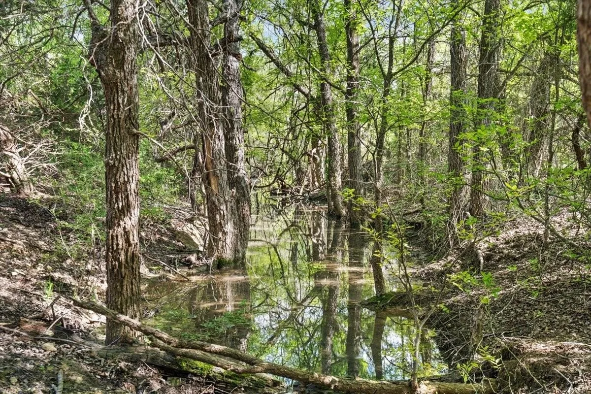 Unimproved Land For Sale in Mc Lennan County , TBD 252 Acres Dan Morgan Road, China Spring, Texas 76633, 0, 0, Garage spaces, 0 Sqft, built in 0, Price $2,457,000, mls#21156162, Real Estate Agent in China Spring, Homes For Sale in Mc Lennan county, Homes For Sale in China Spring, Realtor in China Spring Texas, Real Estate Brokerage Independent Realty Texas, Luminita Cordes Realtor