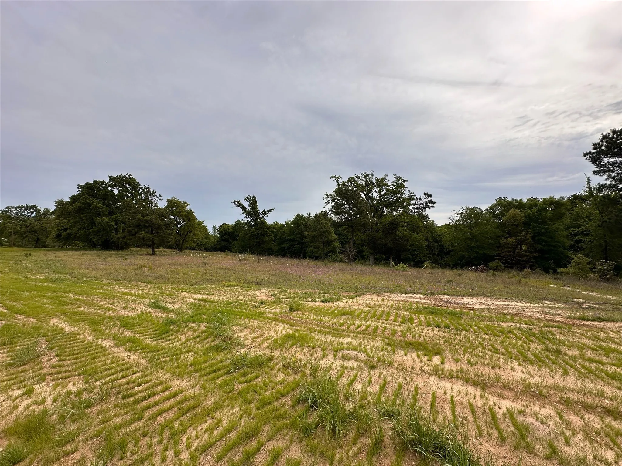 Improved Land For Sale in Smith County , 16944 Sawyer Way, Lindale, Texas 75771, 0, 0, Garage spaces, 0 Sqft, built in 0, mls#21158868, Real Estate Agent in Lindale, Homes For Sale in Smith county, Homes For Sale in Lindale, Realtor in Lindale Texas, Real Estate Brokerage Independent Realty Texas, Luminita Cordes Realtor