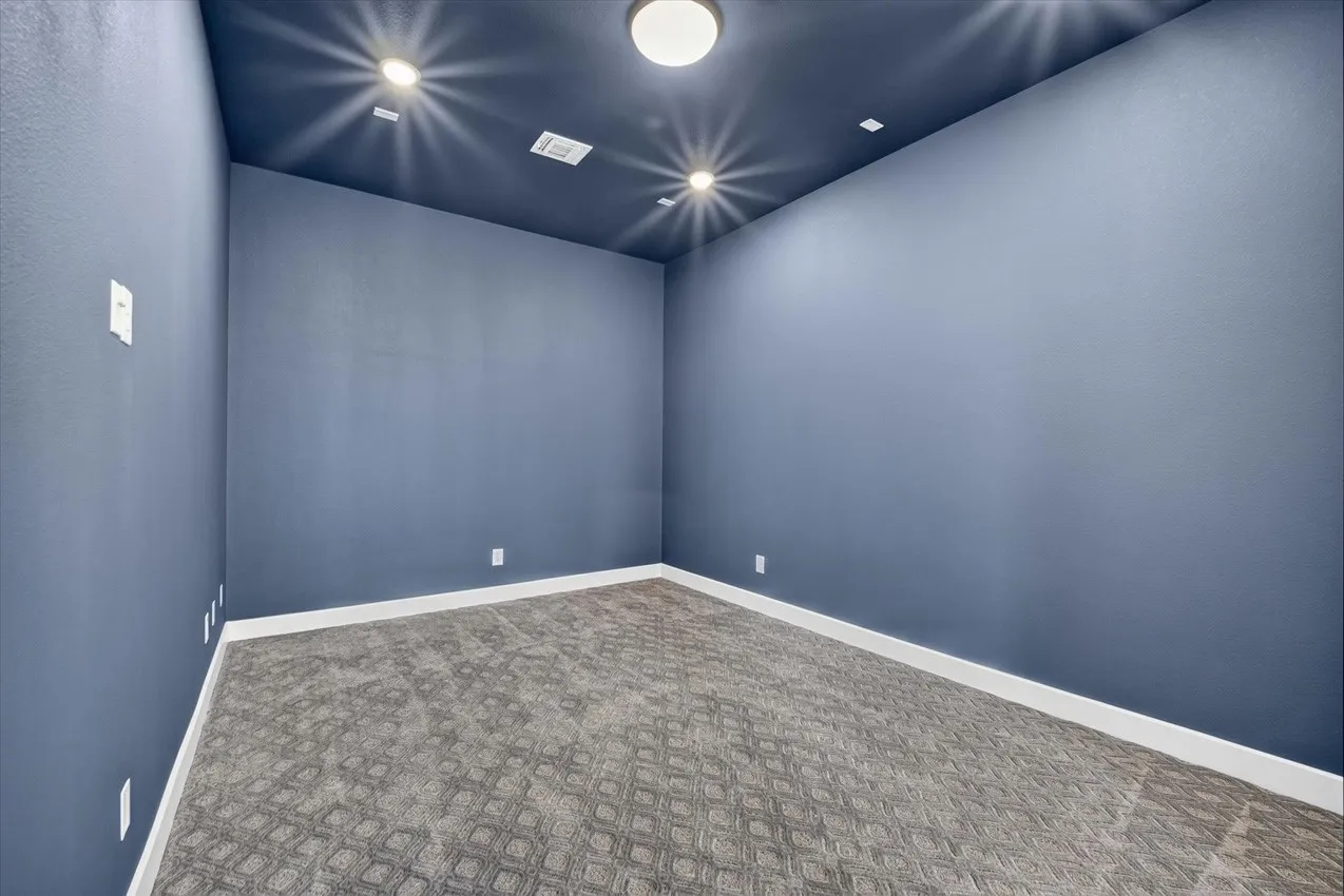 Entertainment Room