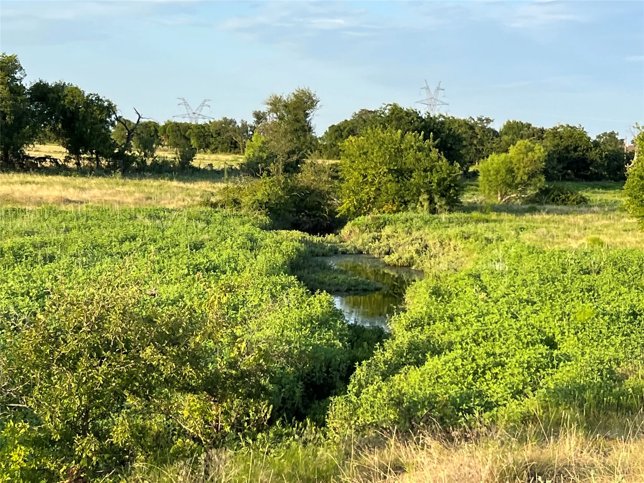 Ranch For Sale in Johnson County , 4748 COUNTY RD 1010, Joshua, Texas 76044, 0, 0, Garage spaces, 0 Sqft, built in 0, mls#21158901, Real Estate Agent in Joshua, Homes For Sale in Johnson county, Homes For Sale in Joshua, Realtor in Joshua Texas, Real Estate Brokerage Independent Realty Texas, Luminita Cordes Realtor