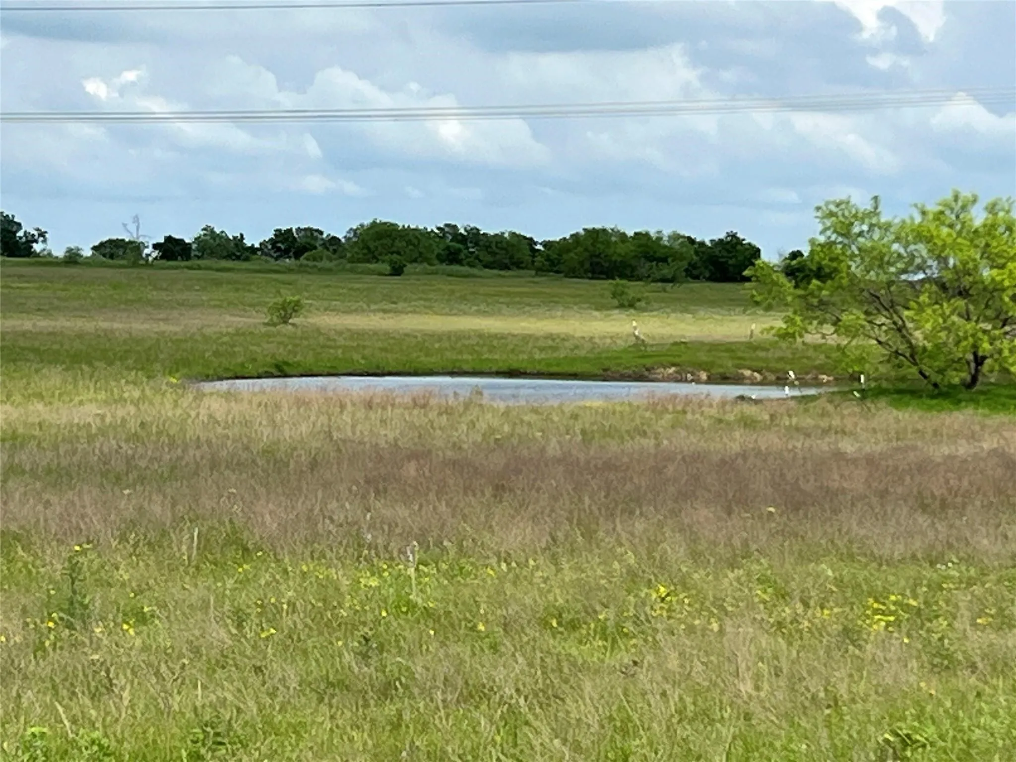 Ranch For Sale in Johnson County , 4748 COUNTY RD 1010, Joshua, Texas 76044, 0, 0, Garage spaces, 0 Sqft, built in 0, mls#21158901, Real Estate Agent in Joshua, Homes For Sale in Johnson county, Homes For Sale in Joshua, Realtor in Joshua Texas, Real Estate Brokerage Independent Realty Texas, Luminita Cordes Realtor