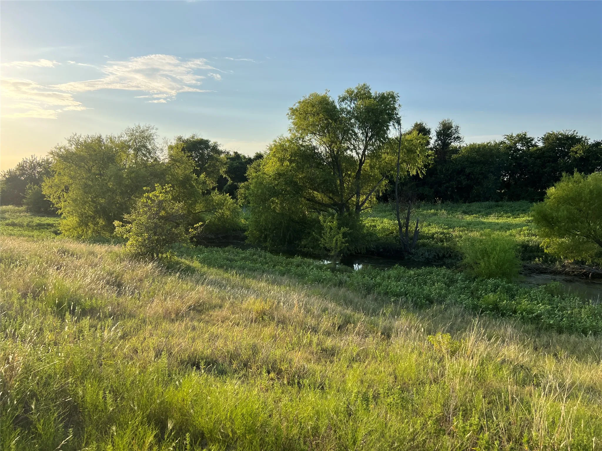 Ranch For Sale in Johnson County , 4748 COUNTY RD 1010, Joshua, Texas 76044, 0, 0, Garage spaces, 0 Sqft, built in 0, mls#21158901, Real Estate Agent in Joshua, Homes For Sale in Johnson county, Homes For Sale in Joshua, Realtor in Joshua Texas, Real Estate Brokerage Independent Realty Texas, Luminita Cordes Realtor