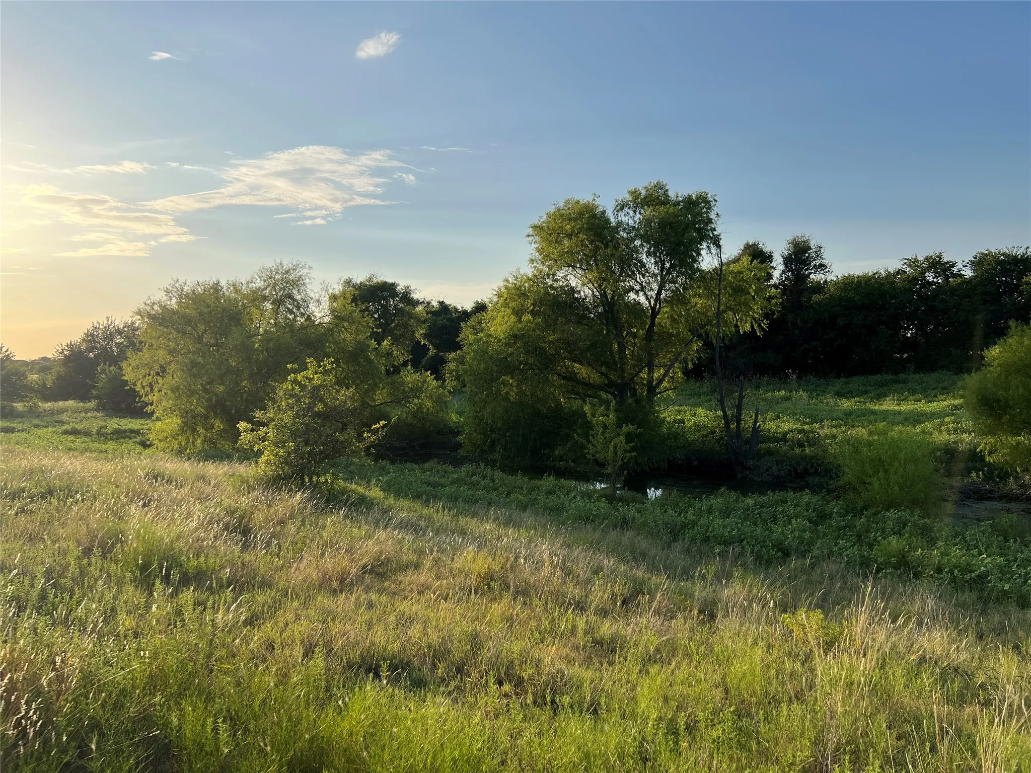 Ranch For Sale in Johnson County , 4748 COUNTY RD 1010, Joshua, Texas 76044, 0, 0, Garage spaces, 0 Sqft, built in 0, mls#21158901, Real Estate Agent in Joshua, Homes For Sale in Johnson county, Homes For Sale in Joshua, Realtor in Joshua Texas, Real Estate Brokerage Independent Realty Texas, Luminita Cordes Realtor