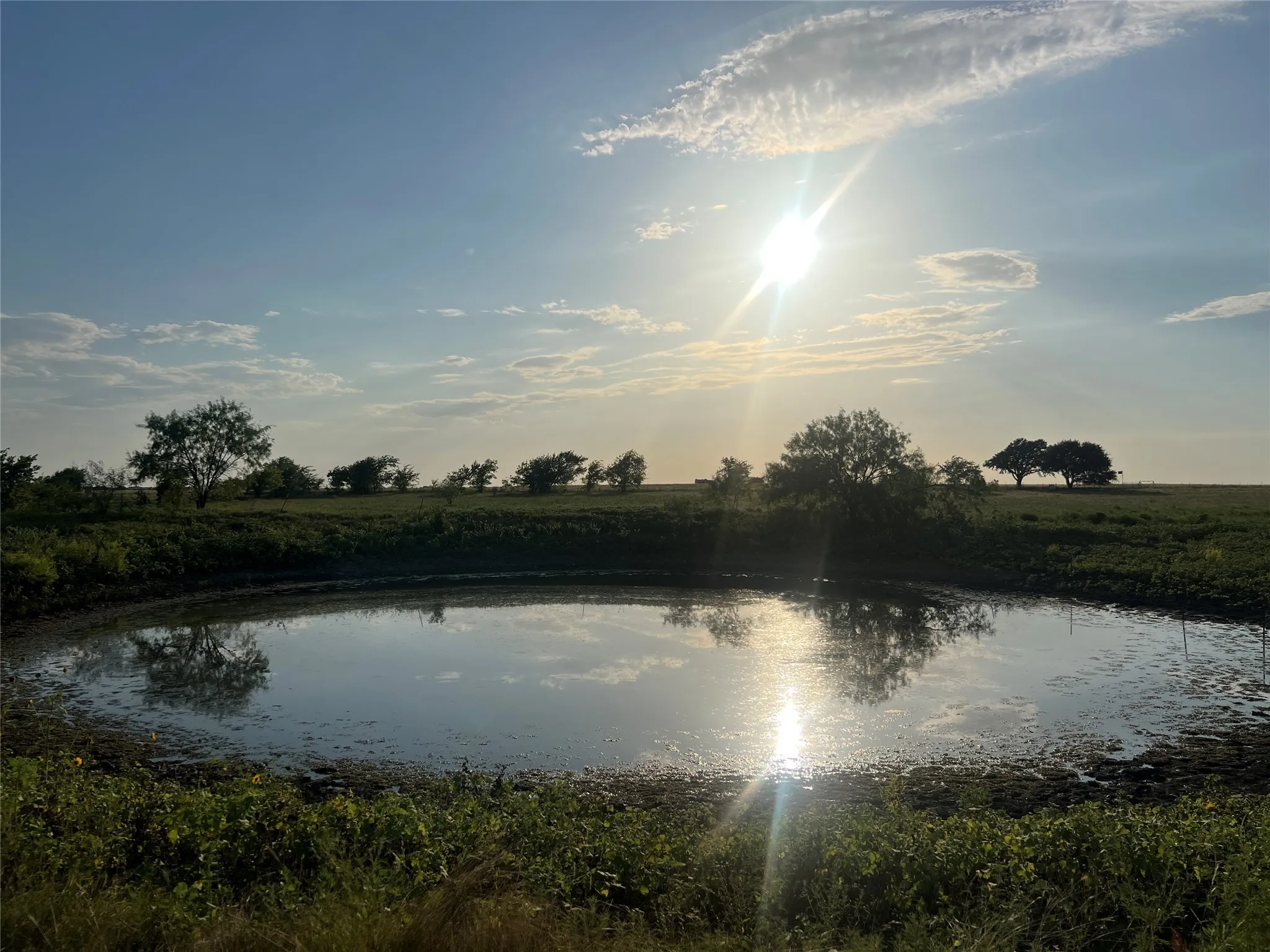 Ranch For Sale in Johnson County , 4748 COUNTY RD 1010, Joshua, Texas 76044, 0, 0, Garage spaces, 0 Sqft, built in 0, mls#21158901, Real Estate Agent in Joshua, Homes For Sale in Johnson county, Homes For Sale in Joshua, Realtor in Joshua Texas, Real Estate Brokerage Independent Realty Texas, Luminita Cordes Realtor