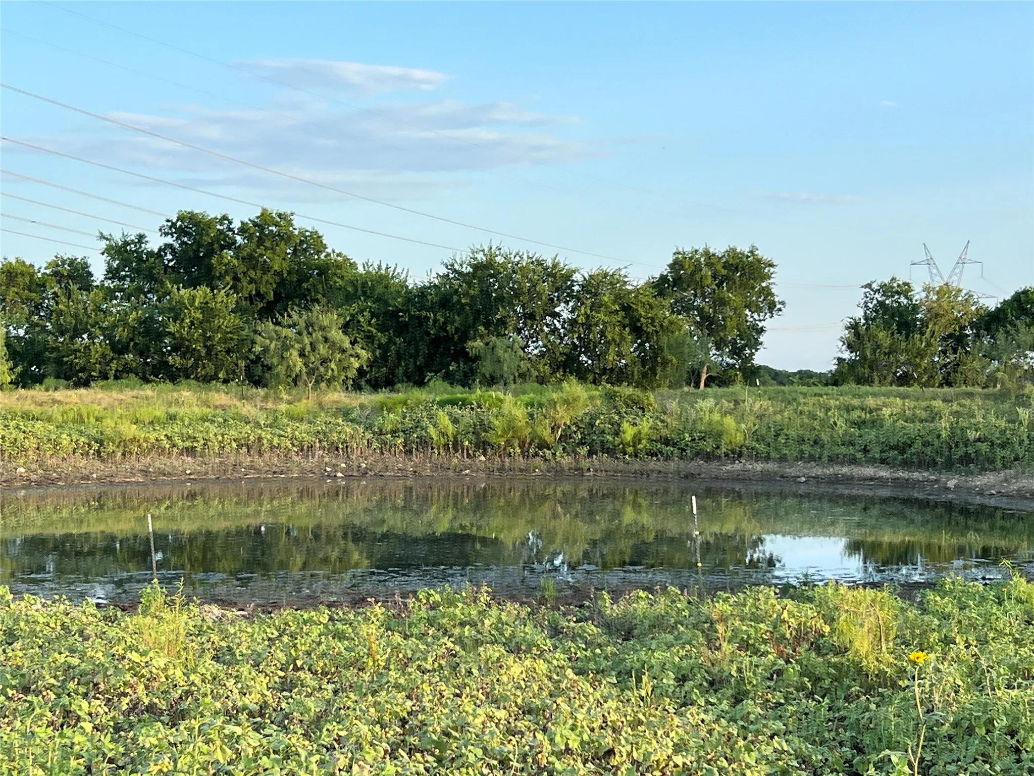 Ranch For Sale in Johnson County , 4748 COUNTY RD 1010, Joshua, Texas 76044, 0, 0, Garage spaces, 0 Sqft, built in 0, mls#21158901, Real Estate Agent in Joshua, Homes For Sale in Johnson county, Homes For Sale in Joshua, Realtor in Joshua Texas, Real Estate Brokerage Independent Realty Texas, Luminita Cordes Realtor