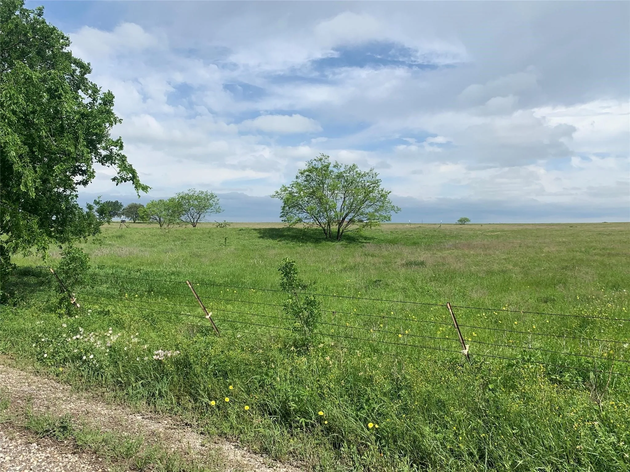 Ranch For Sale in Johnson County , 4748 COUNTY RD 1010, Joshua, Texas 76044, 0, 0, Garage spaces, 0 Sqft, built in 0, mls#21158901, Real Estate Agent in Joshua, Homes For Sale in Johnson county, Homes For Sale in Joshua, Realtor in Joshua Texas, Real Estate Brokerage Independent Realty Texas, Luminita Cordes Realtor