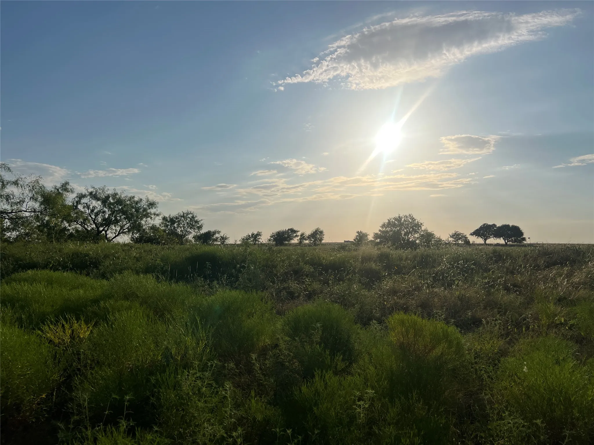 Ranch For Sale in Johnson County , 4748 COUNTY RD 1010, Joshua, Texas 76044, 0, 0, Garage spaces, 0 Sqft, built in 0, mls#21158901, Real Estate Agent in Joshua, Homes For Sale in Johnson county, Homes For Sale in Joshua, Realtor in Joshua Texas, Real Estate Brokerage Independent Realty Texas, Luminita Cordes Realtor