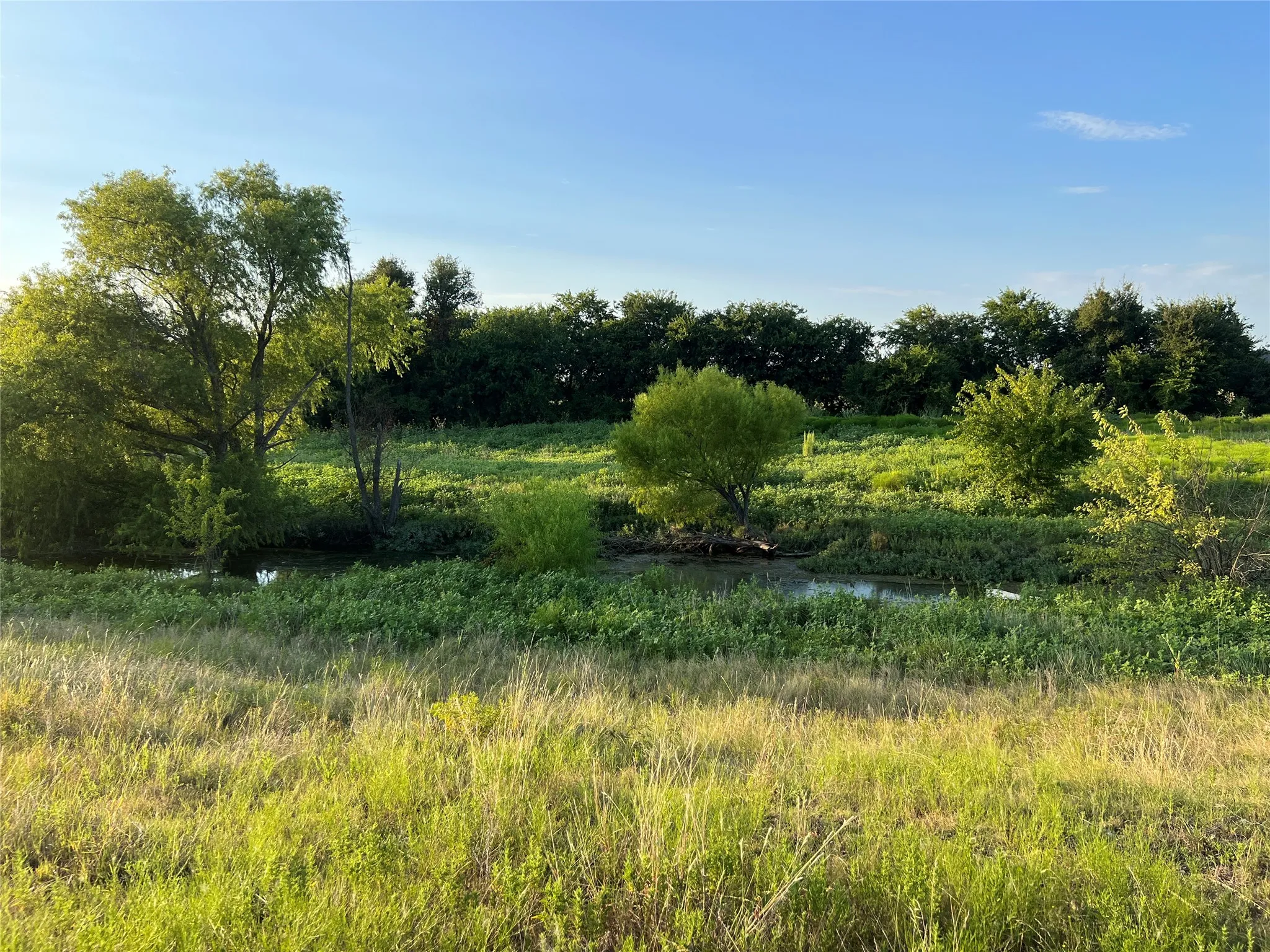 Ranch For Sale in Johnson County , 4748 COUNTY RD 1010, Joshua, Texas 76044, 0, 0, Garage spaces, 0 Sqft, built in 0, mls#21158901, Real Estate Agent in Joshua, Homes For Sale in Johnson county, Homes For Sale in Joshua, Realtor in Joshua Texas, Real Estate Brokerage Independent Realty Texas, Luminita Cordes Realtor