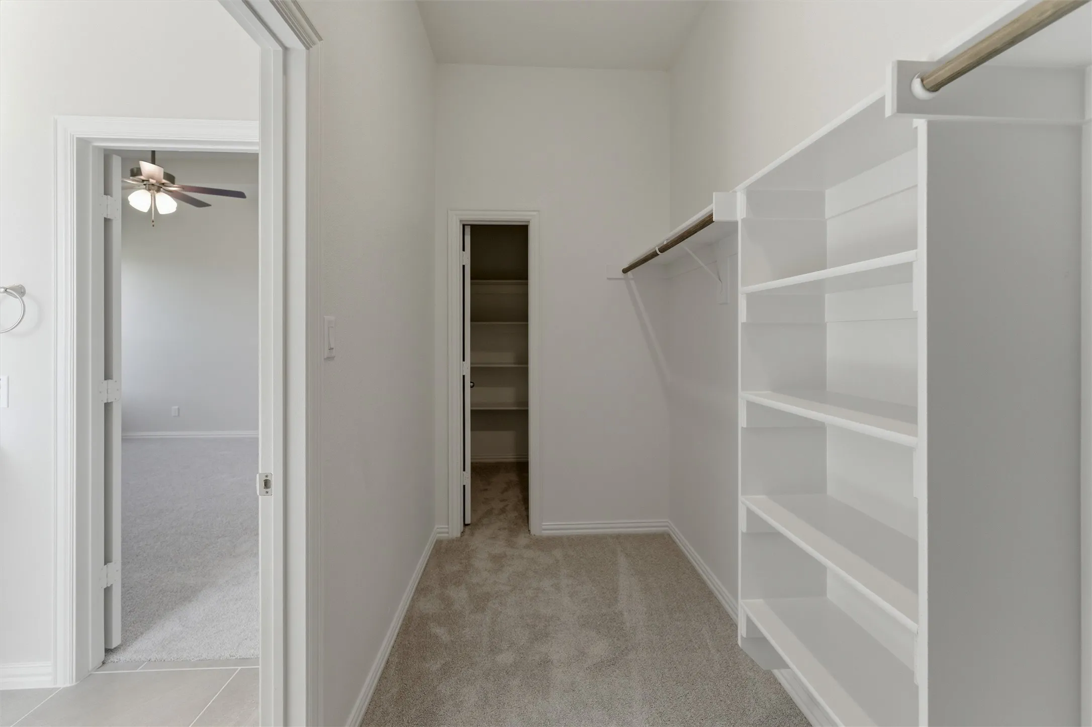 Walk-in closet featuring built-in shelving, hanging rods, and carpet flooring