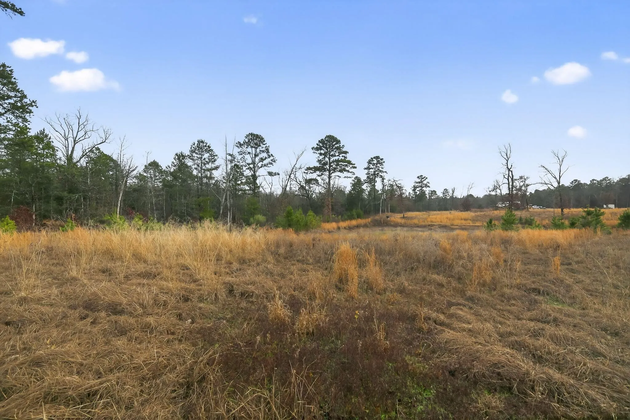 Unimproved Land For Sale in Wood County , 868 County Road 2920, Alba, Texas 75410, 0, 0, Garage spaces, 0 Sqft, built in 0, Price $99,000, mls#21159109, Real Estate Agent in Alba, Homes For Sale in Wood county, Homes For Sale in Alba, Realtor in Alba Texas, Real Estate Brokerage Independent Realty Texas, Luminita Cordes Realtor