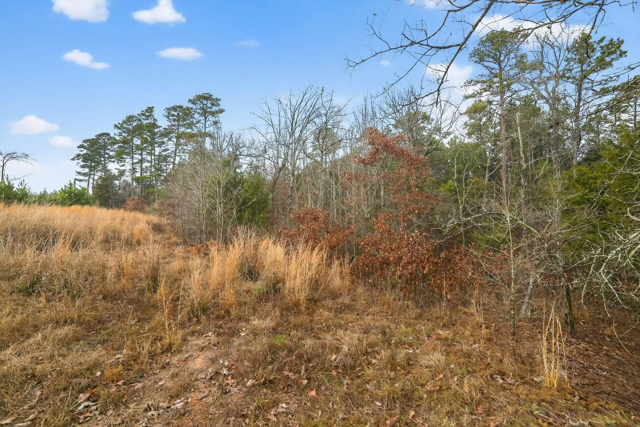 Unimproved Land For Sale in Wood County , 868 County Road 2920, Alba, Texas 75410, 0, 0, Garage spaces, 0 Sqft, built in 0, Price $99,000, mls#21159109, Real Estate Agent in Alba, Homes For Sale in Wood county, Homes For Sale in Alba, Realtor in Alba Texas, Real Estate Brokerage Independent Realty Texas, Luminita Cordes Realtor