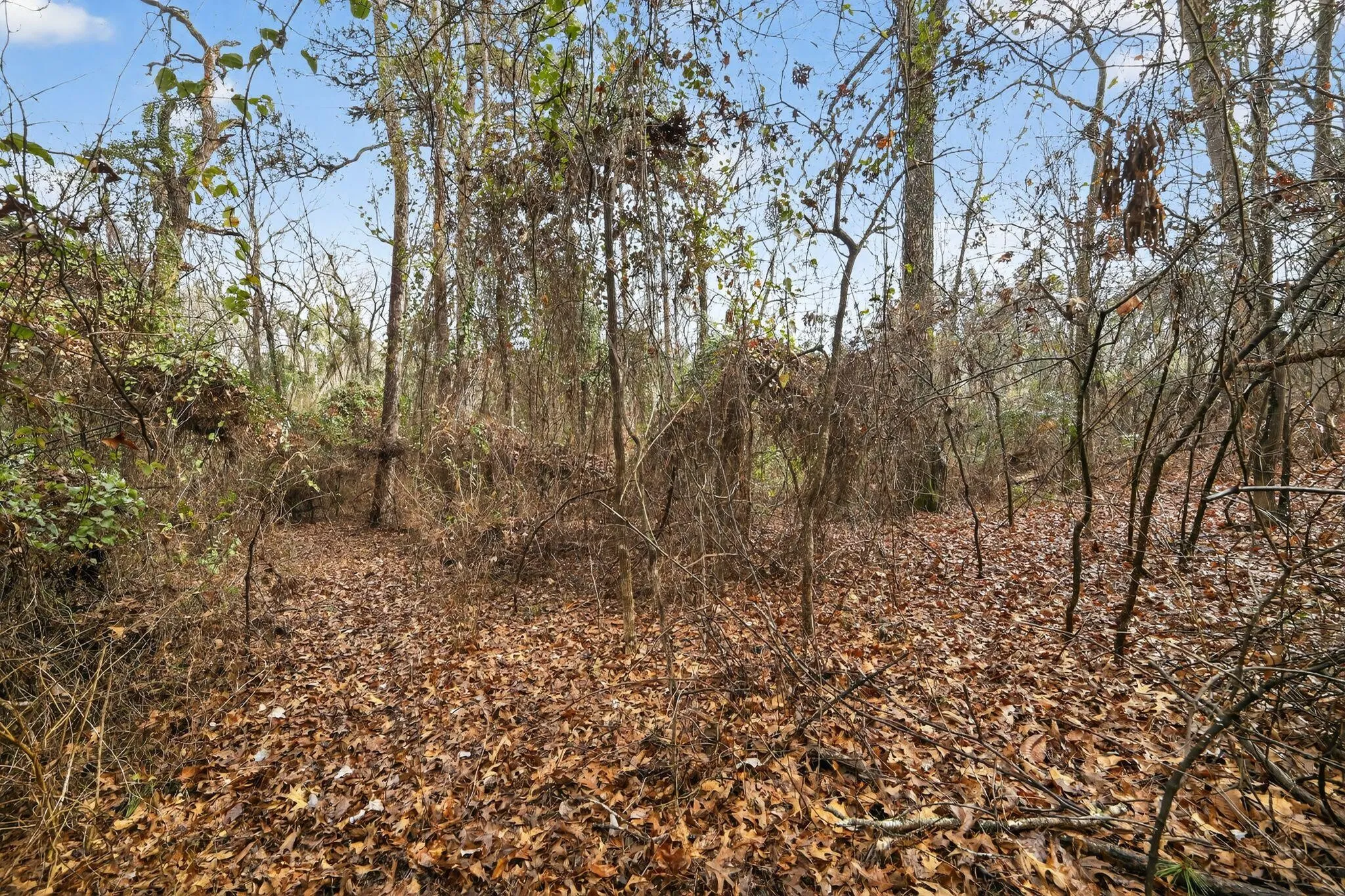 Unimproved Land For Sale in Wood County , 868 County Road 2920, Alba, Texas 75410, 0, 0, Garage spaces, 0 Sqft, built in 0, Price $99,000, mls#21159109, Real Estate Agent in Alba, Homes For Sale in Wood county, Homes For Sale in Alba, Realtor in Alba Texas, Real Estate Brokerage Independent Realty Texas, Luminita Cordes Realtor